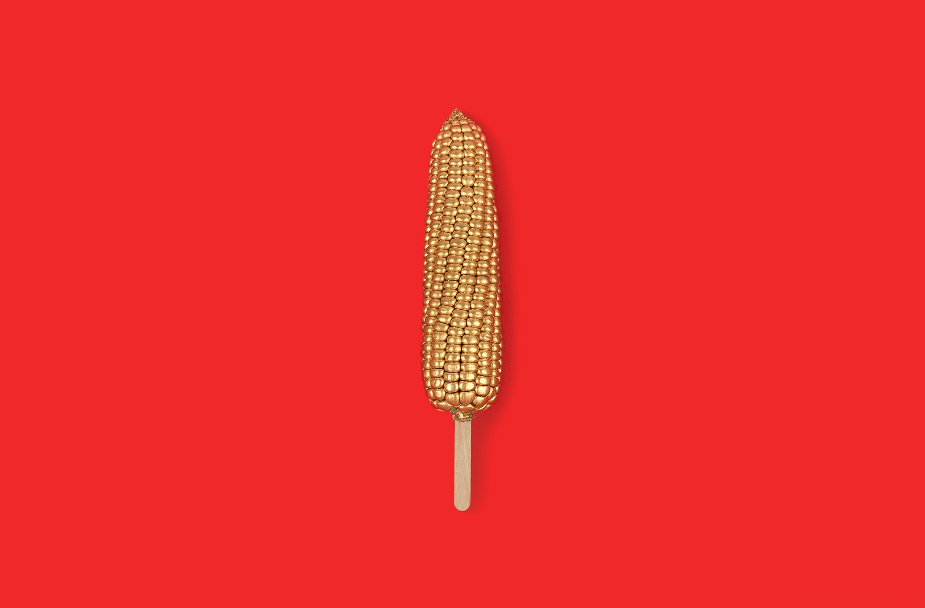 Golden Corn Stick, Food and Drink, Creative, Design, Background