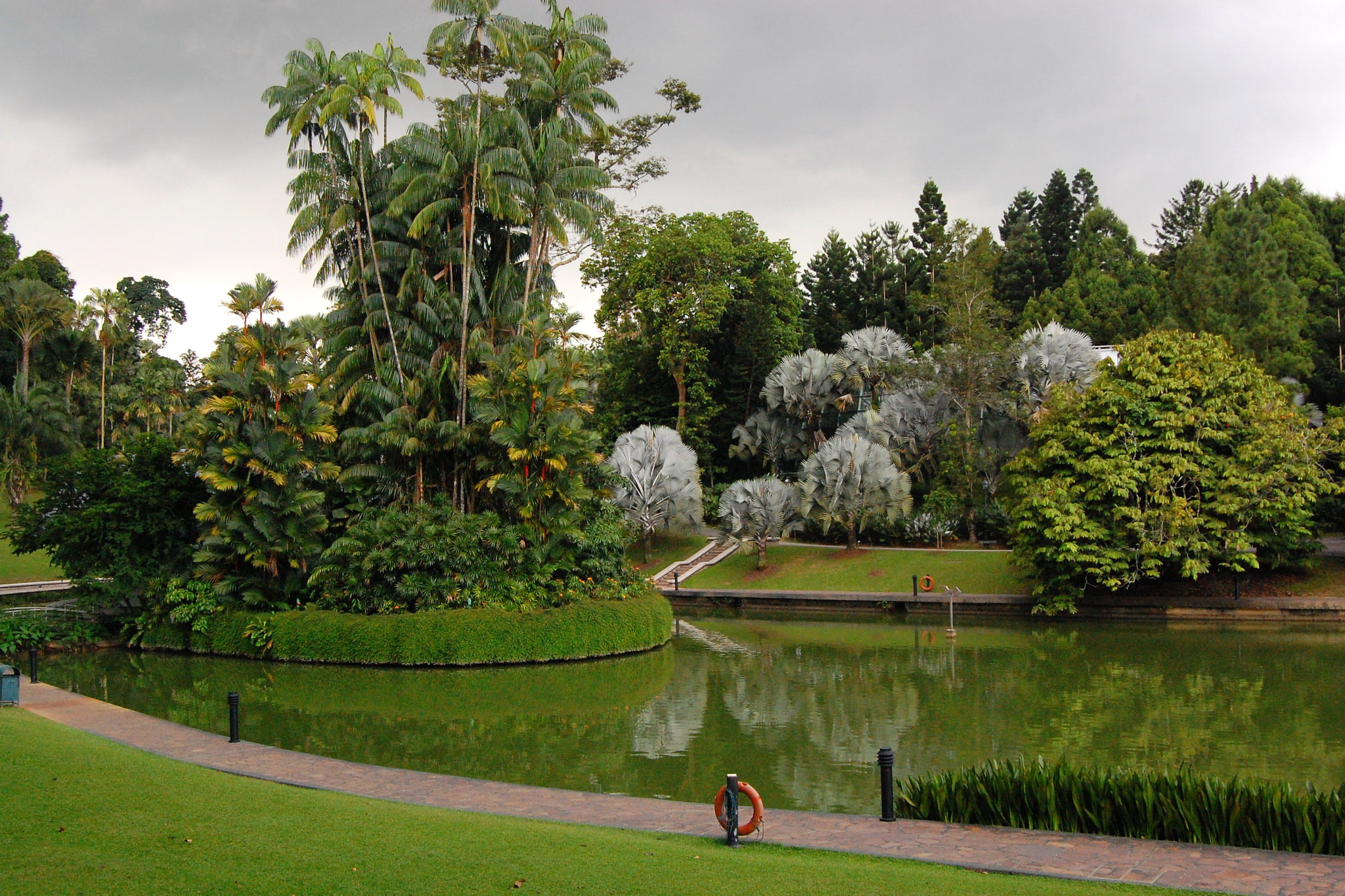 Free download | HD wallpaper: grass, trees, design, pond, Park, palm ...