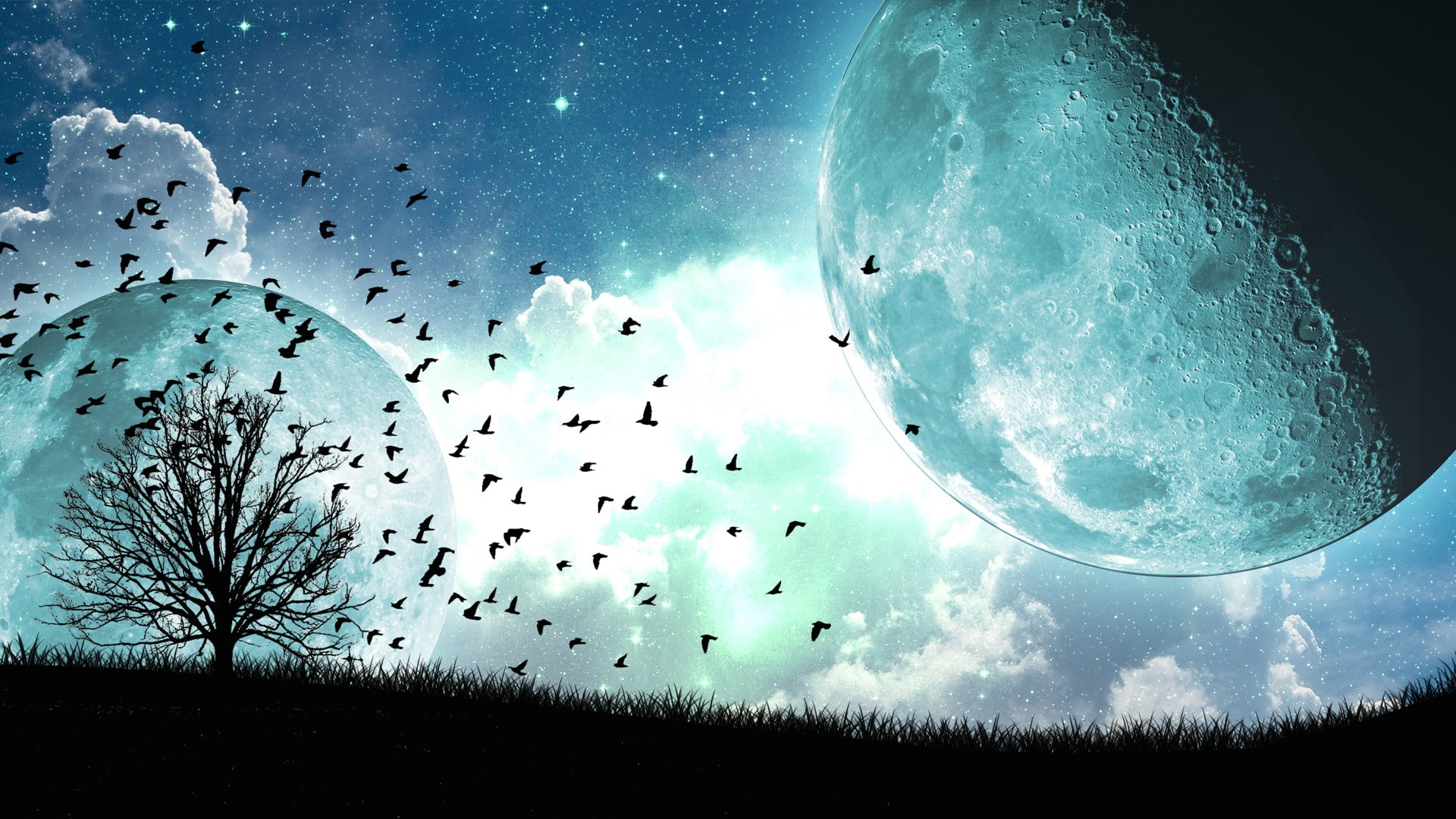 clouds, Moon, night, stars, trees, birds, artwork