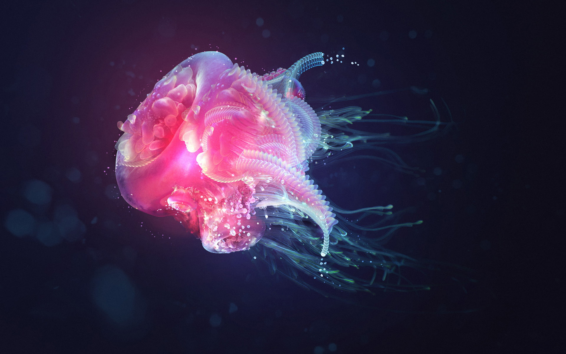 bubbles, depth, tentacles, quirkiness