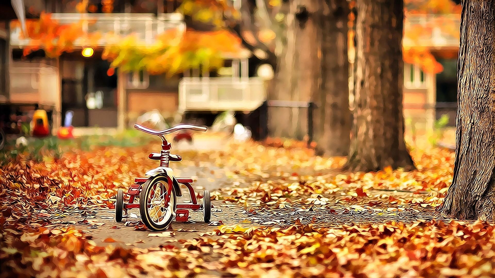 1.october, bike, garden, fallen leaves, autumn, 3d and abstract
