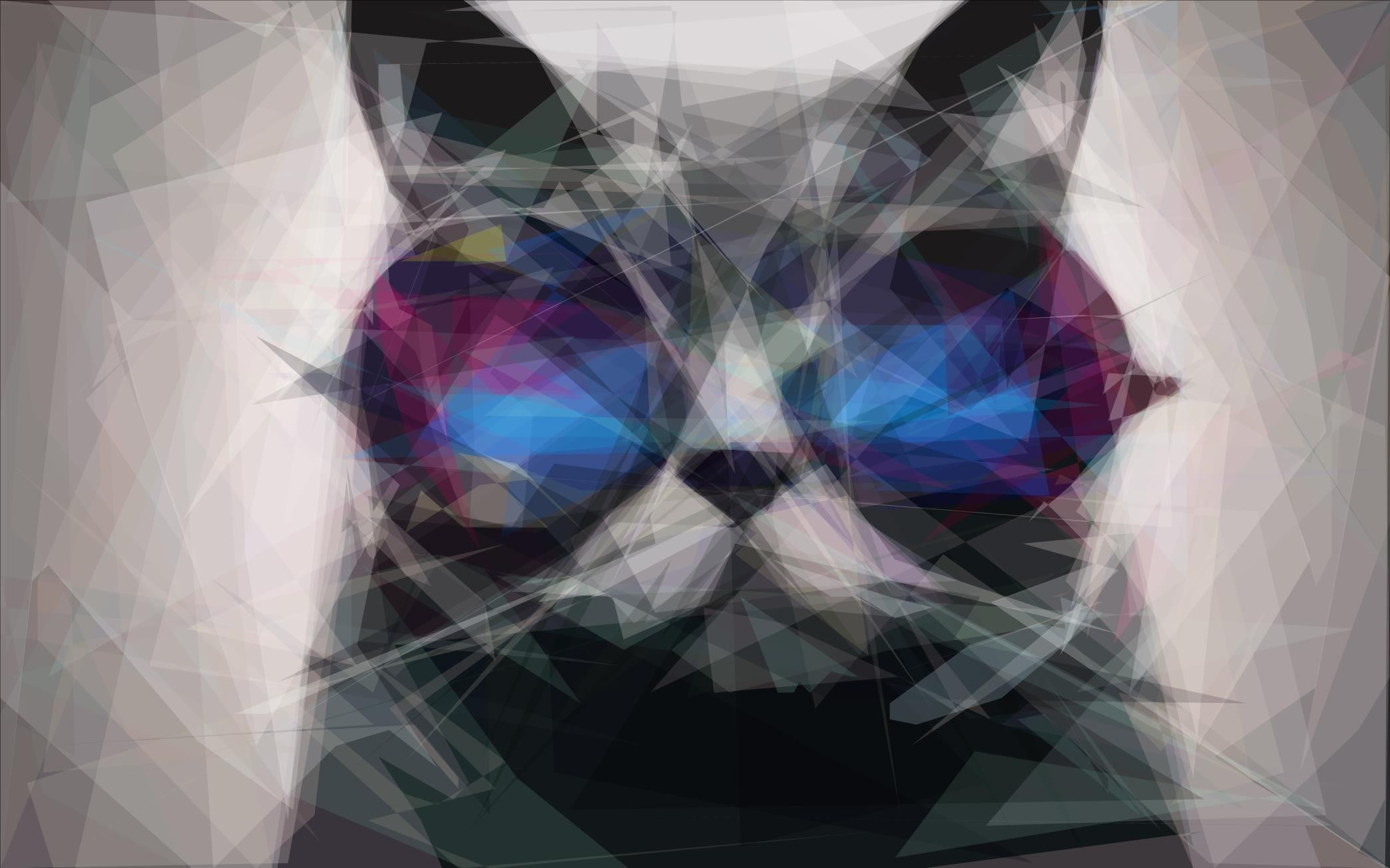 cat clip art, cat 3D wallpaper, sunglasses, digital art, animals