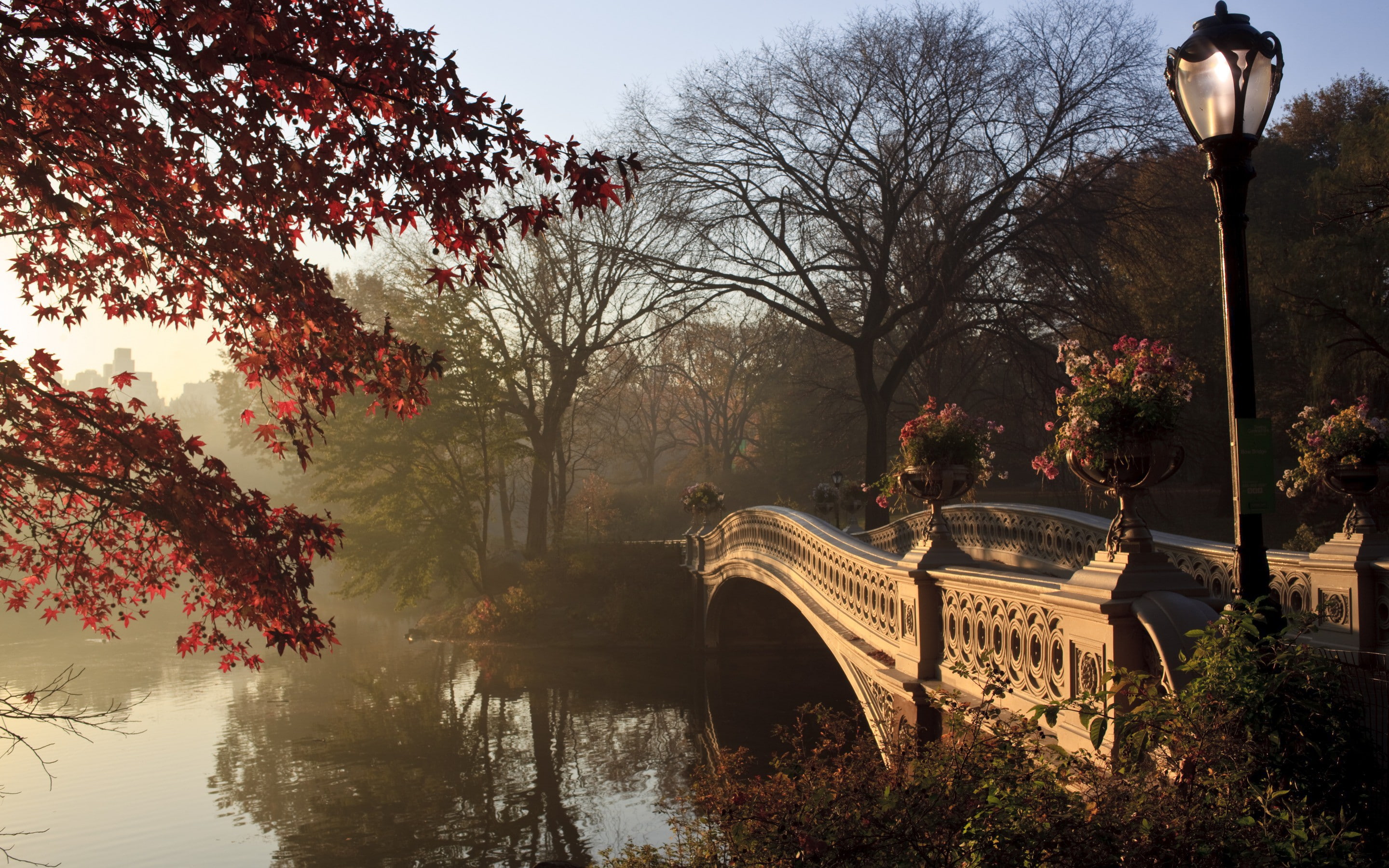 New York City, Central Park, autumn tree, trees, bridge, Lamppost
