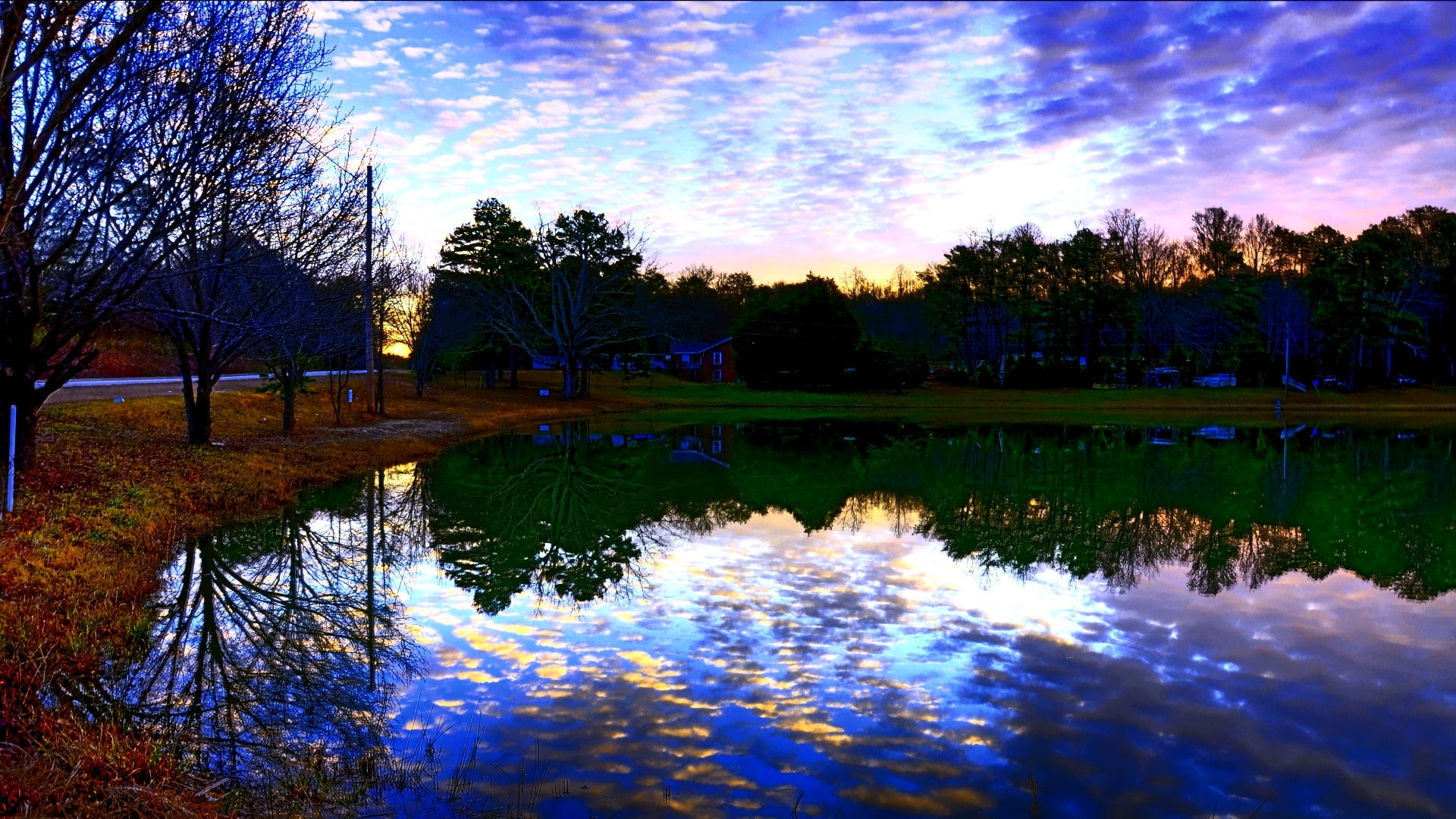 Pond Reflection Trees HD, nature