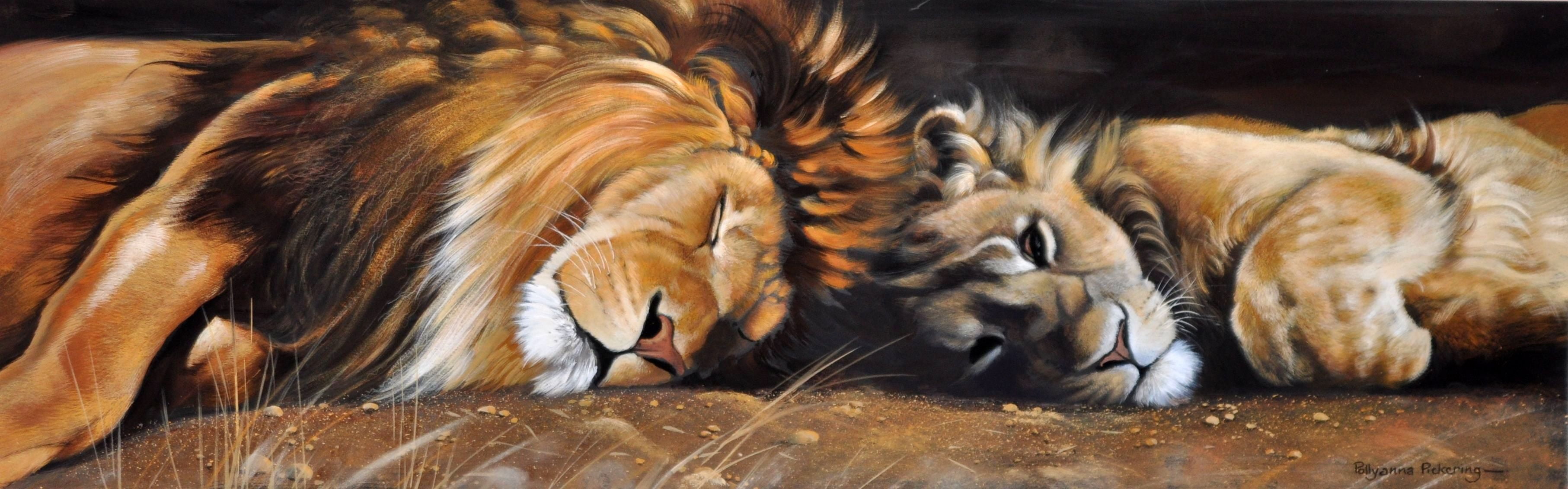 brown lion illustration, animals, cats, sleep, predators, picture