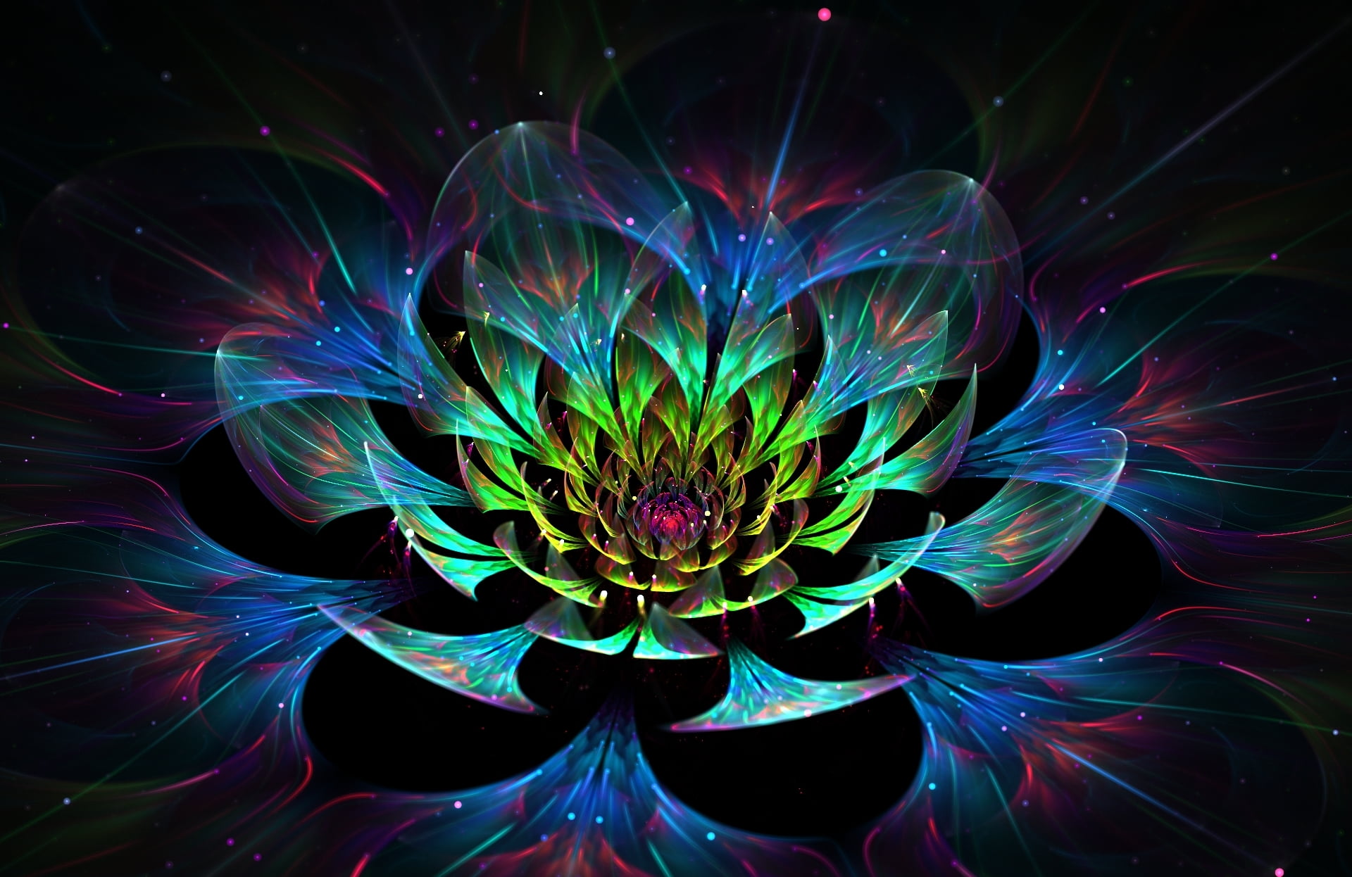 green, blue, and red flower vector art, abstraction, graphics
