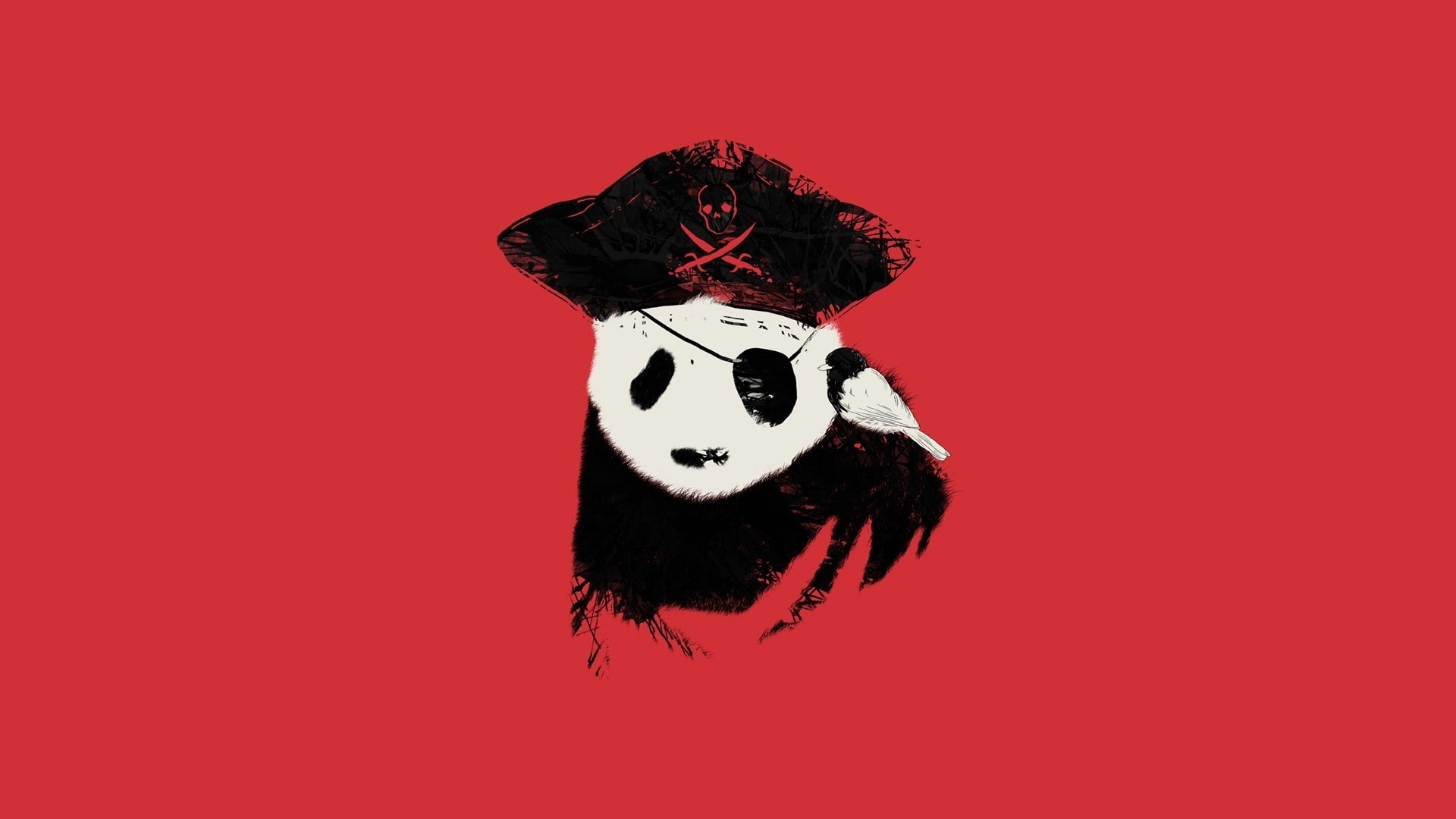 white, pirates, black, panda, artwork, red, red background