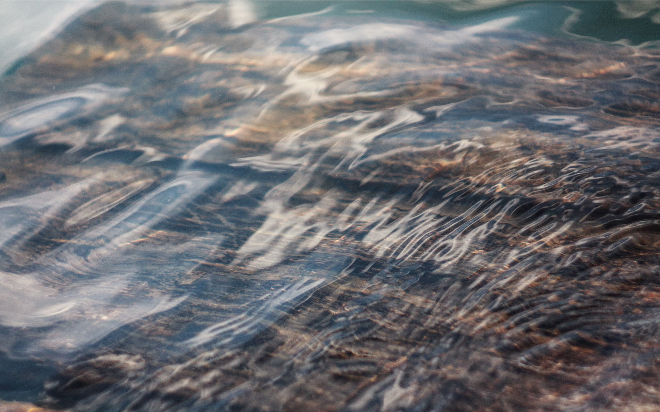 Water Macro HD, nature