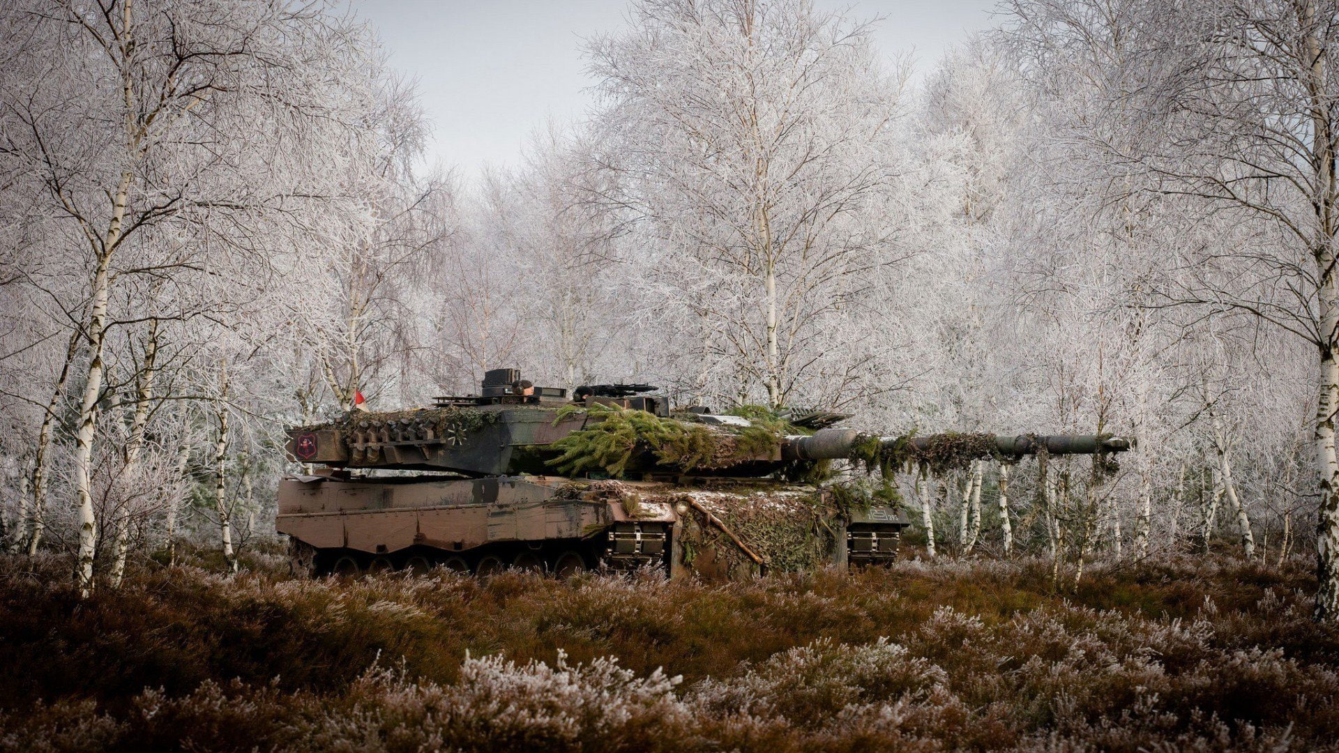 Tanks, Leopard 2