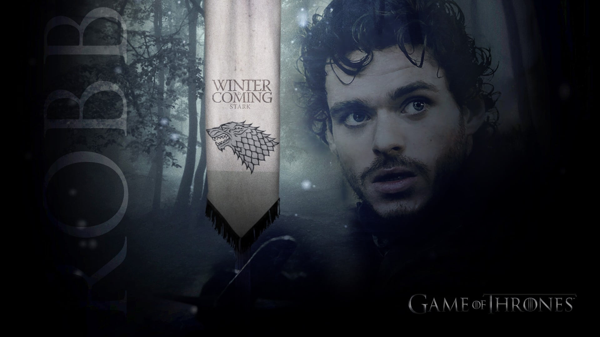 Game of Thrones Winter is Coming digital wallpaper, Robb Stark