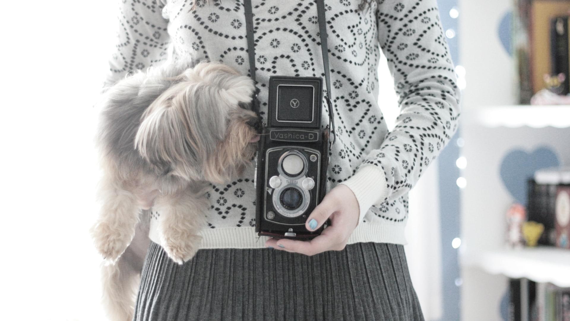 Dog Camera, playful dog, bubbles, face, lovely, pretty, sweet