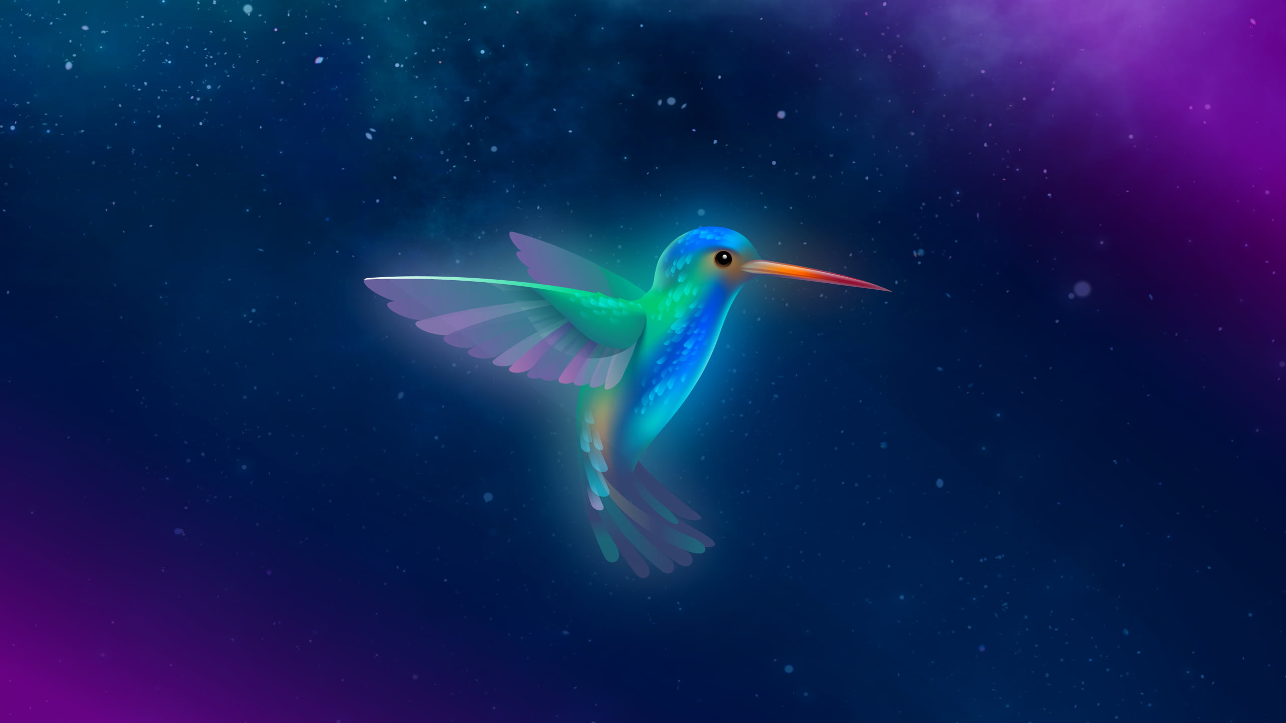 artwork, digital art, birds, hummingbird, hummingbirds, colorful