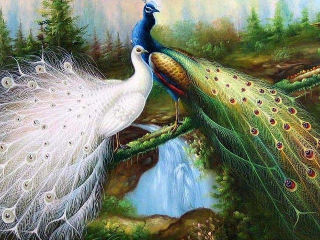 white and green peacock artwork, Birds, animal, nature, wildlife