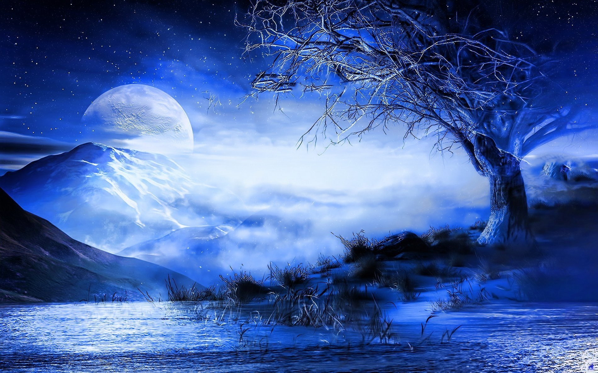 Fantasy, Landscape, Blue, Moon, Mountain, Sky, Star, Tree
