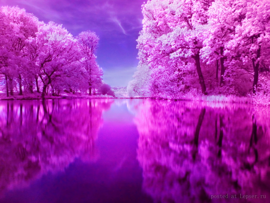 clouds lake Pink reflection Nature Other HD Art, purple, Mirrored