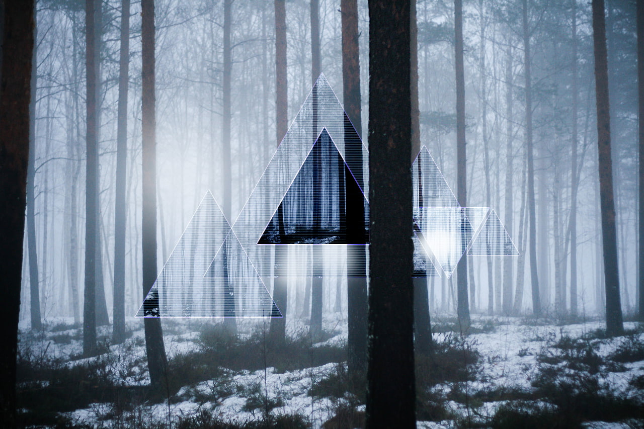 forest, Polyscape