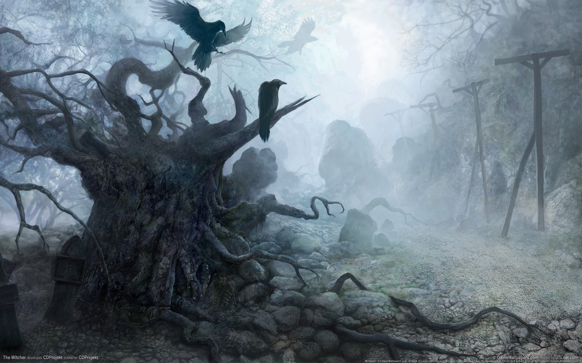 raven, deep forest, mist, The Witcher, fantasy art, video games