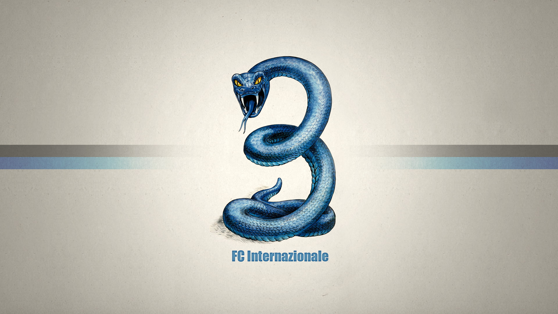 FC Internazionale logo, Snake, Texture, International, no people