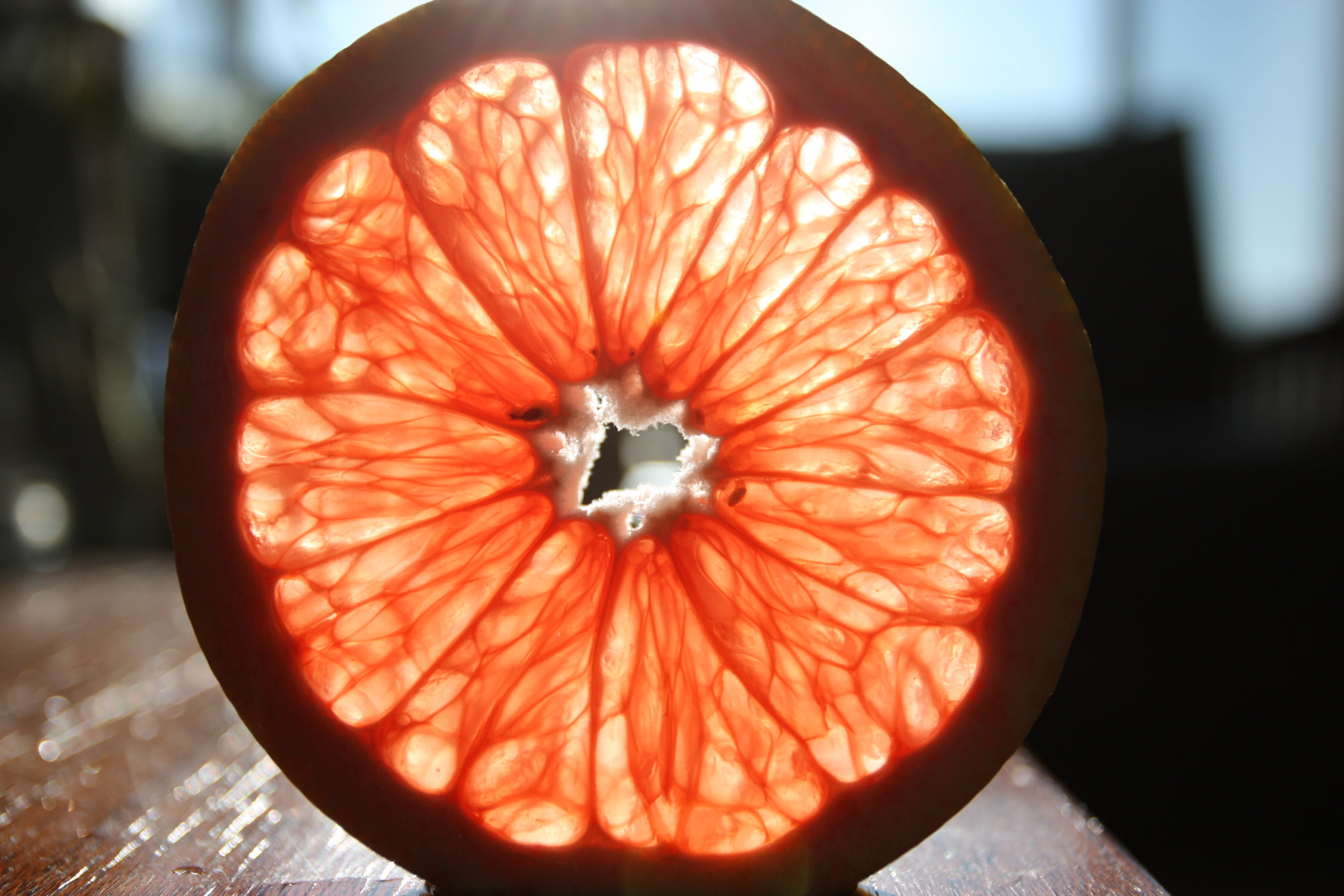 selective focus photography of sliced lemon, grapefruit, grapefruit