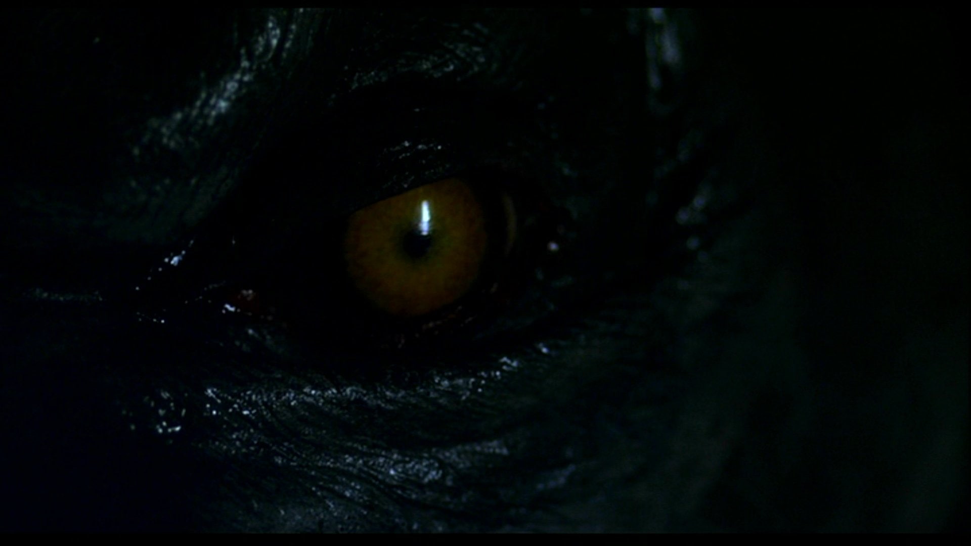 Movie, Werewolf The Beast Among Us