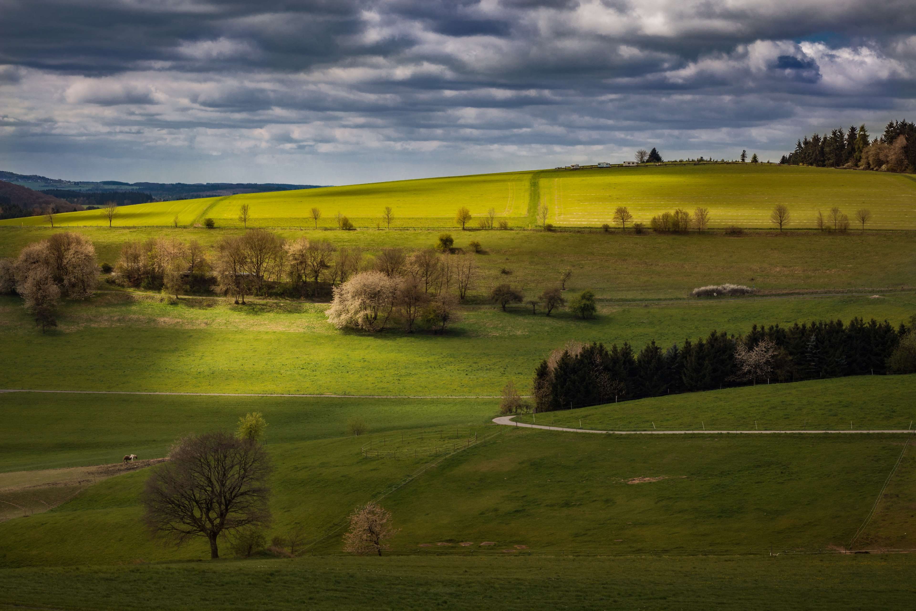 clouds, dramatic clouds, eifel, field, forest, germany, green