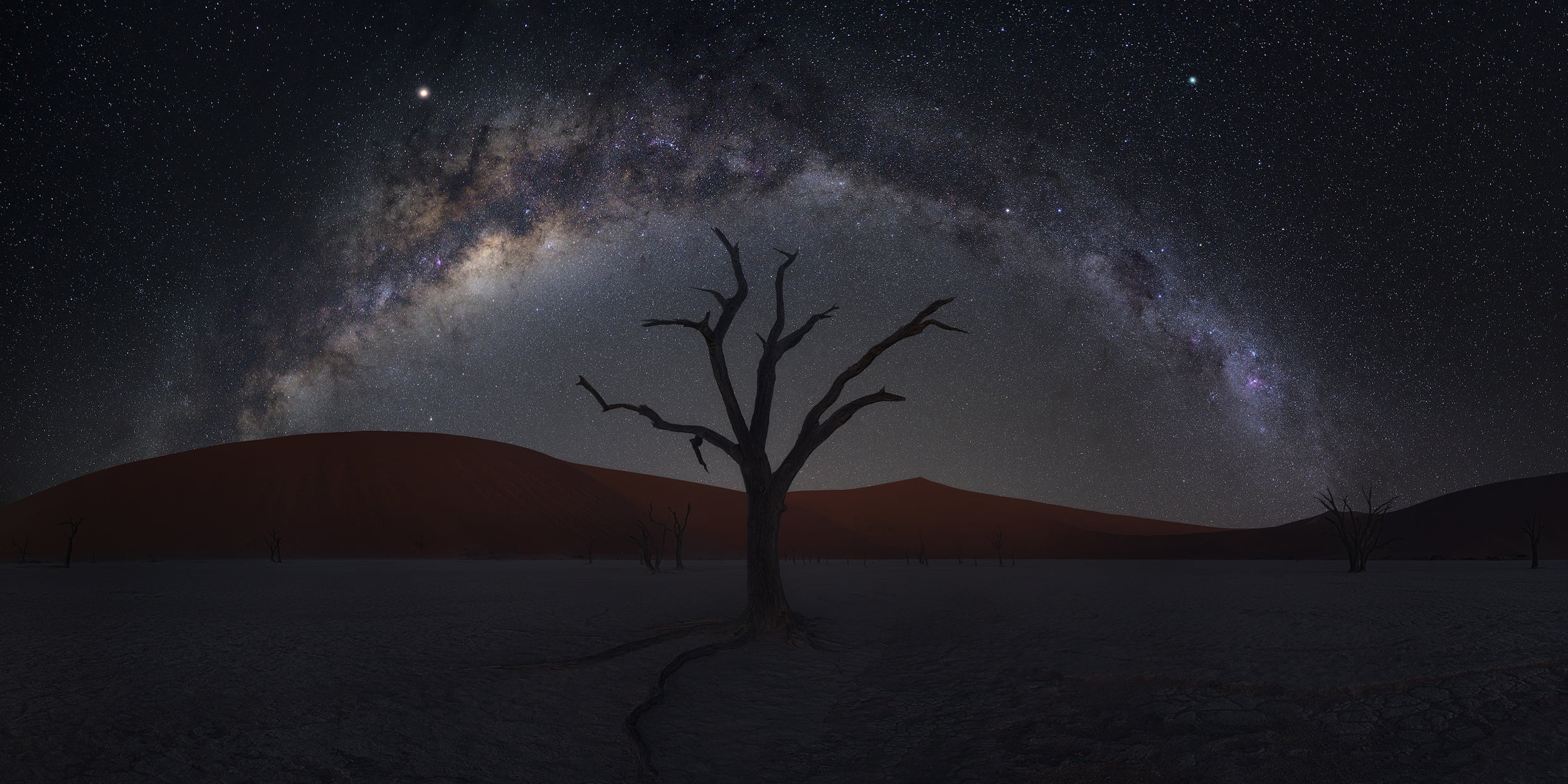 Earth, Desert, Dune, Namibia, Night, Sand, Starry Sky, Tree