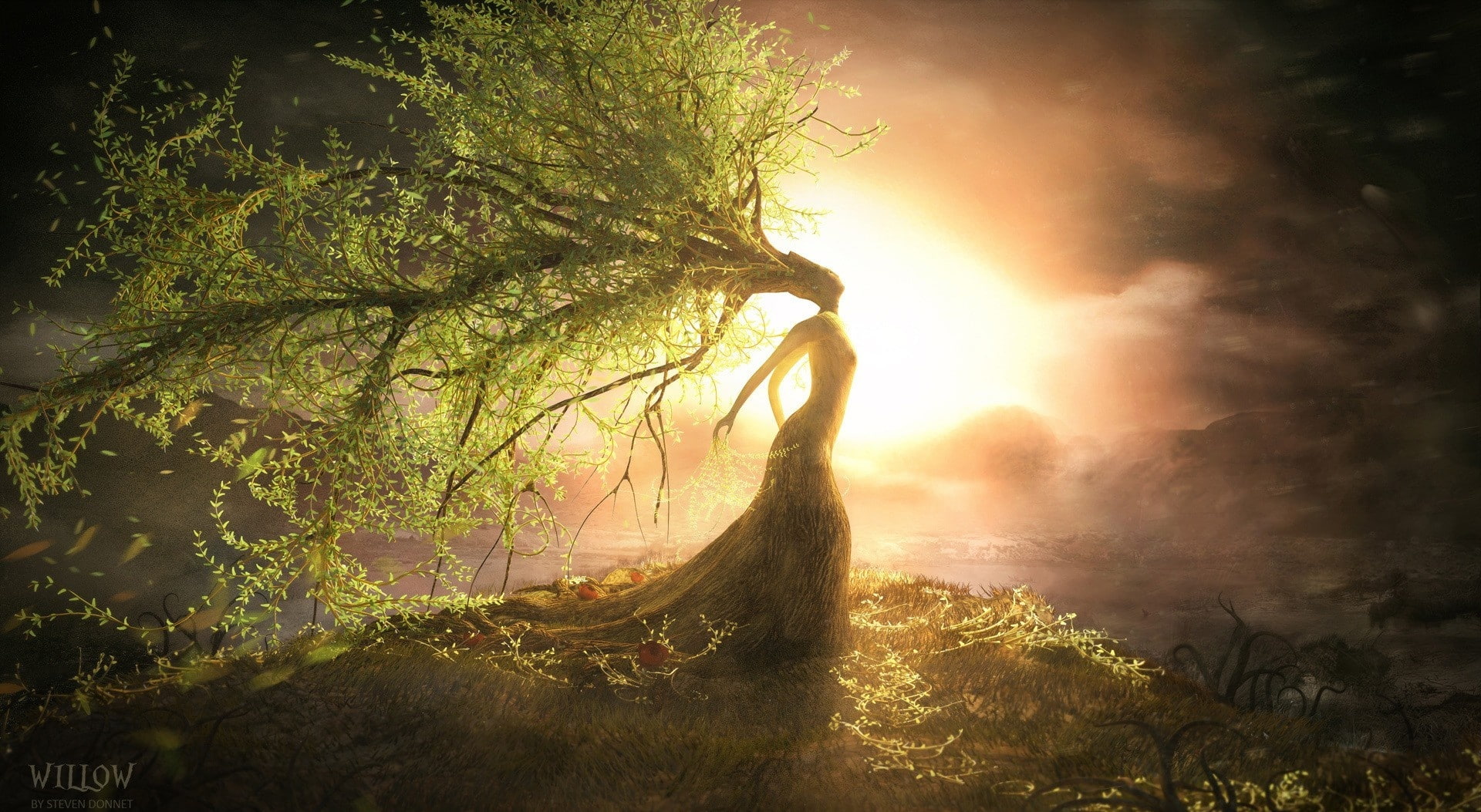 Fantasy Willow, woman tree wallpaper, Artistic, plant, beauty in nature