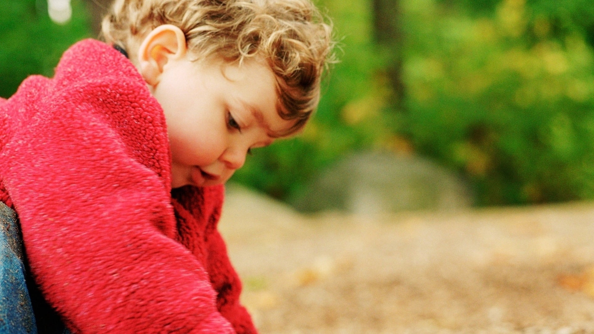 toddler's red fleece top, child, jacket, look, fascinated, childhood