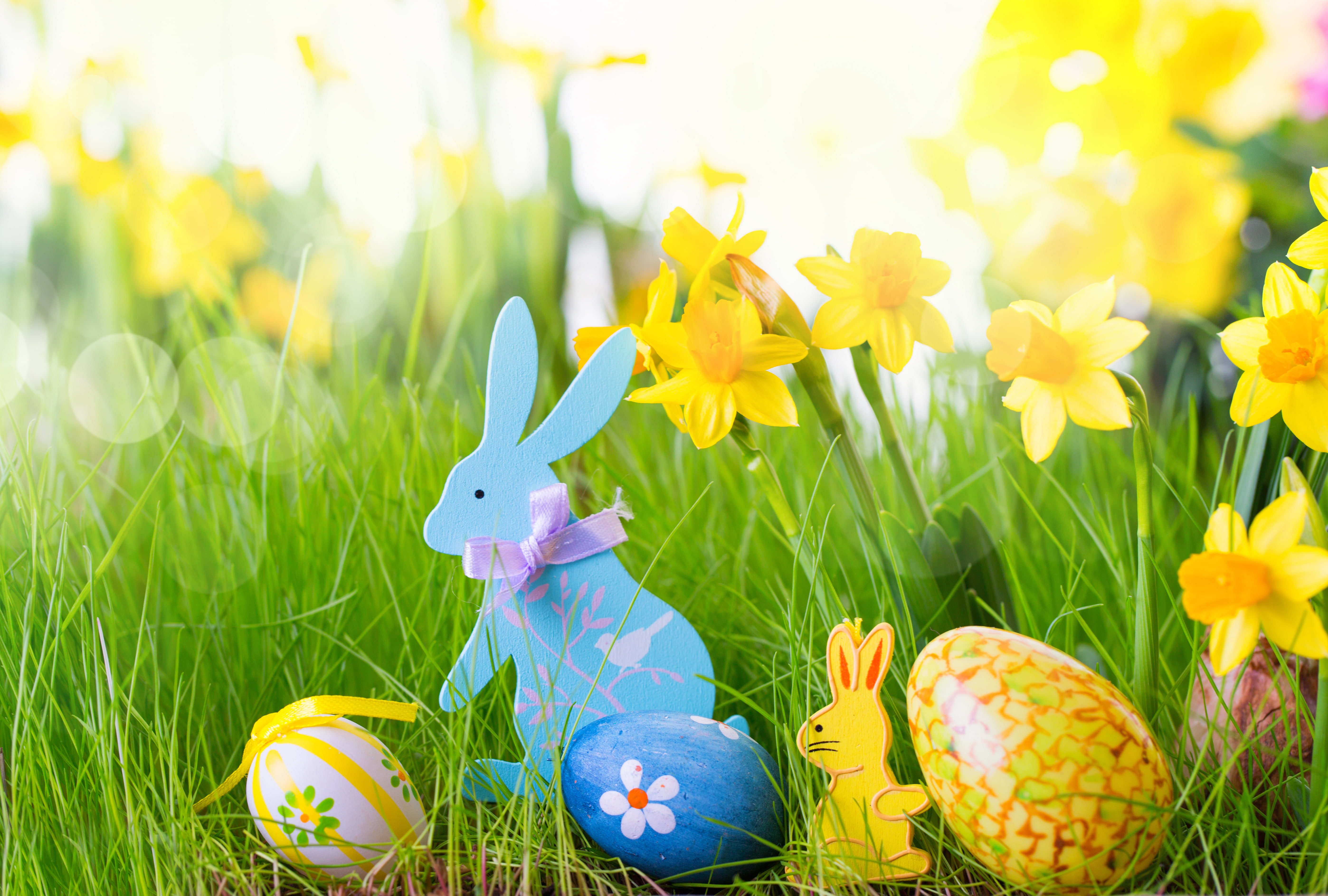 eggs, Easter, Easter eggs, happy easter