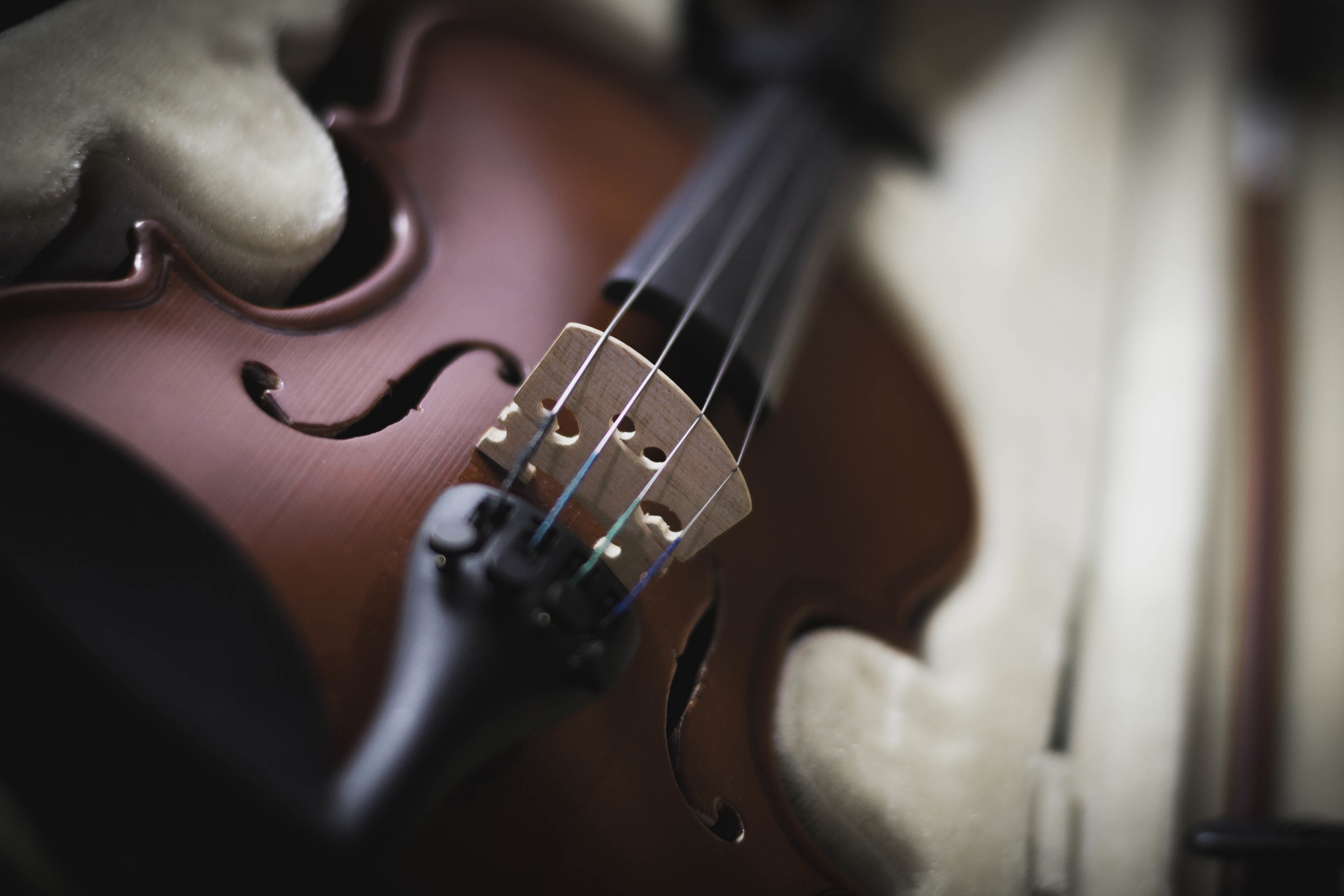 violin, strings, tool