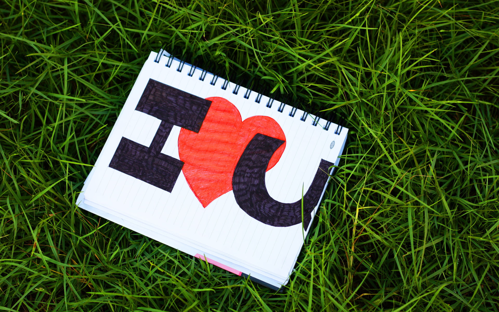 day, grass, heart, lettering, love, notebook, text, valentine 039 s