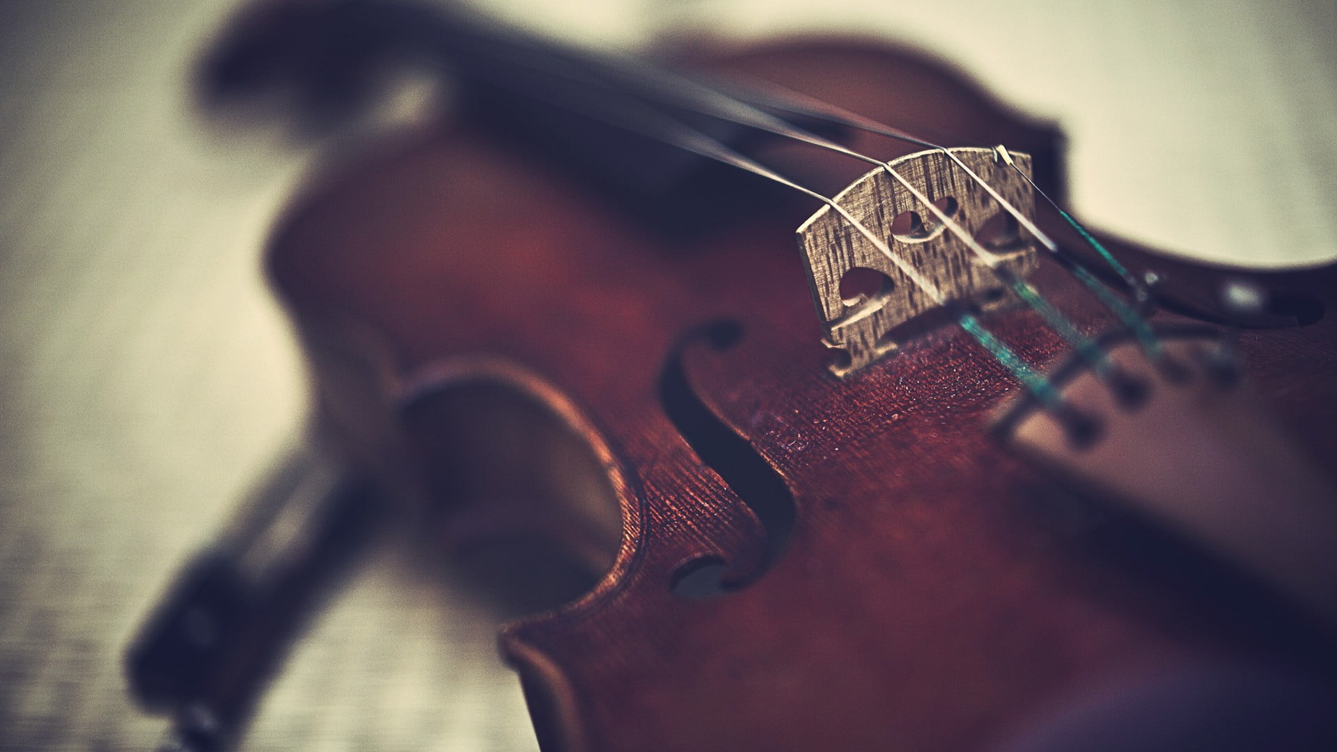 brown violin, music, musical instrument, string instrument, arts culture and entertainment