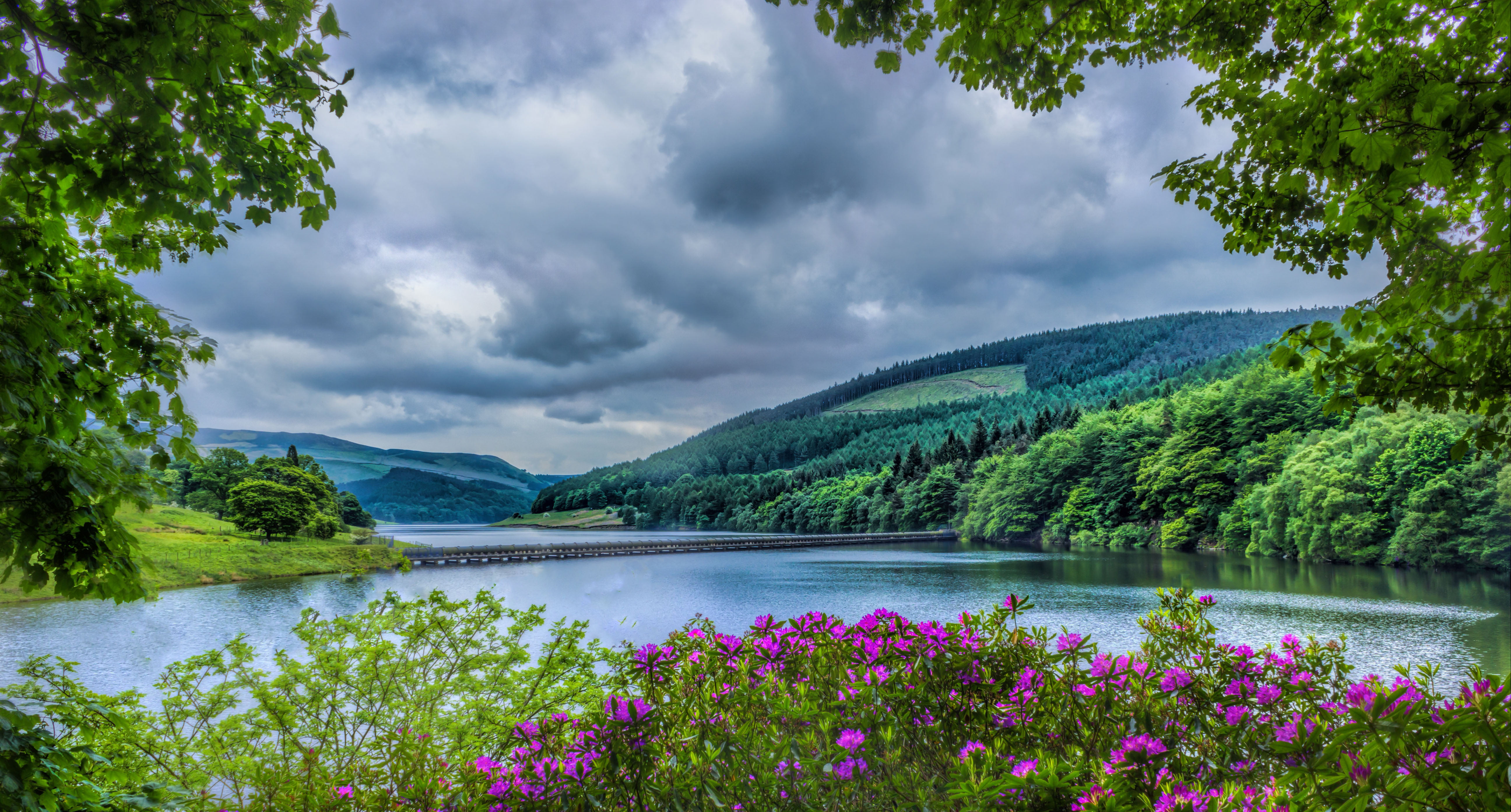 pink outdoor flowers beside river during daytime, ladybower reservoir, ladybower reservoir