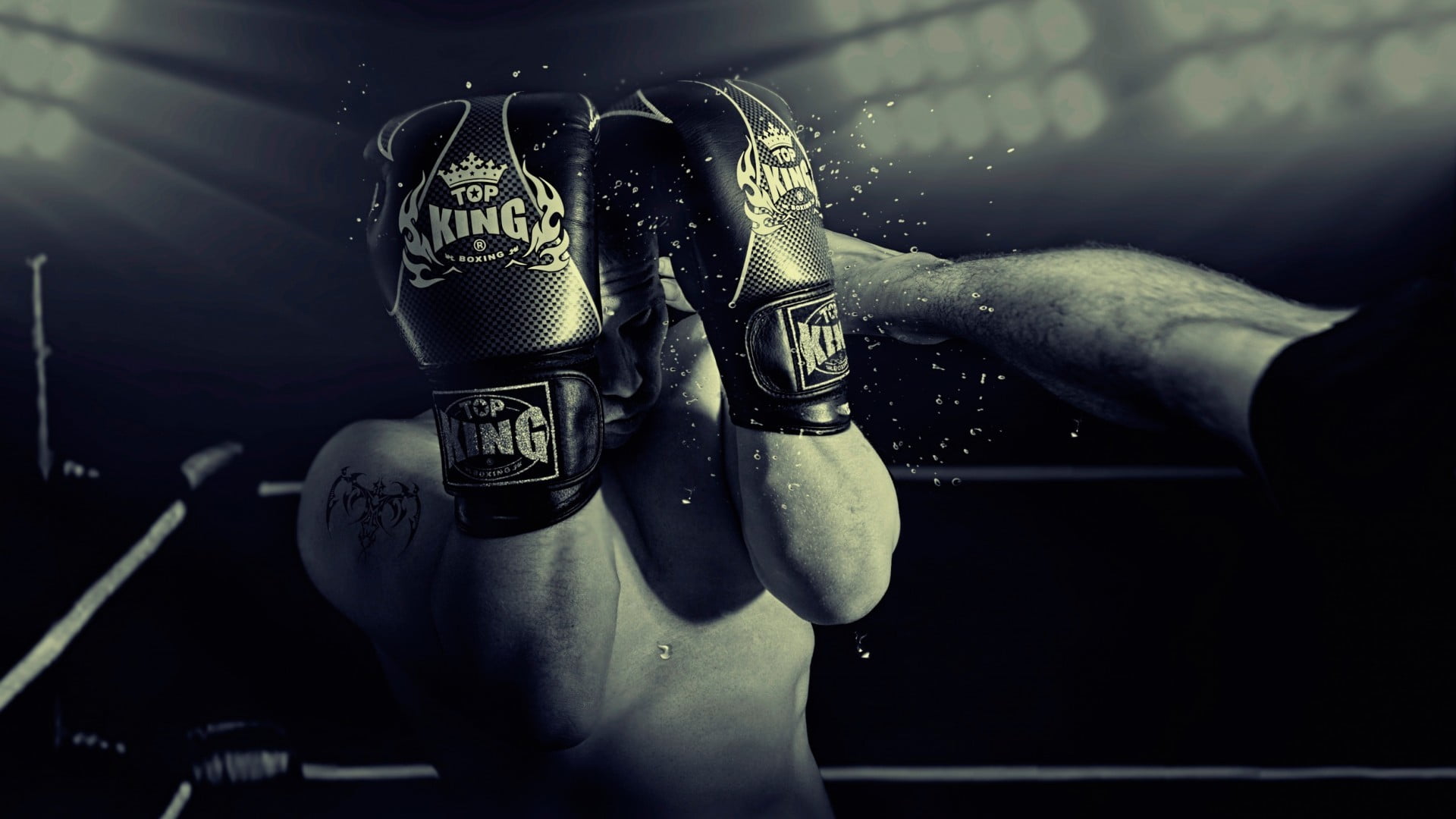 pair of black Top King boxing gloves, indoors, focus on foreground
