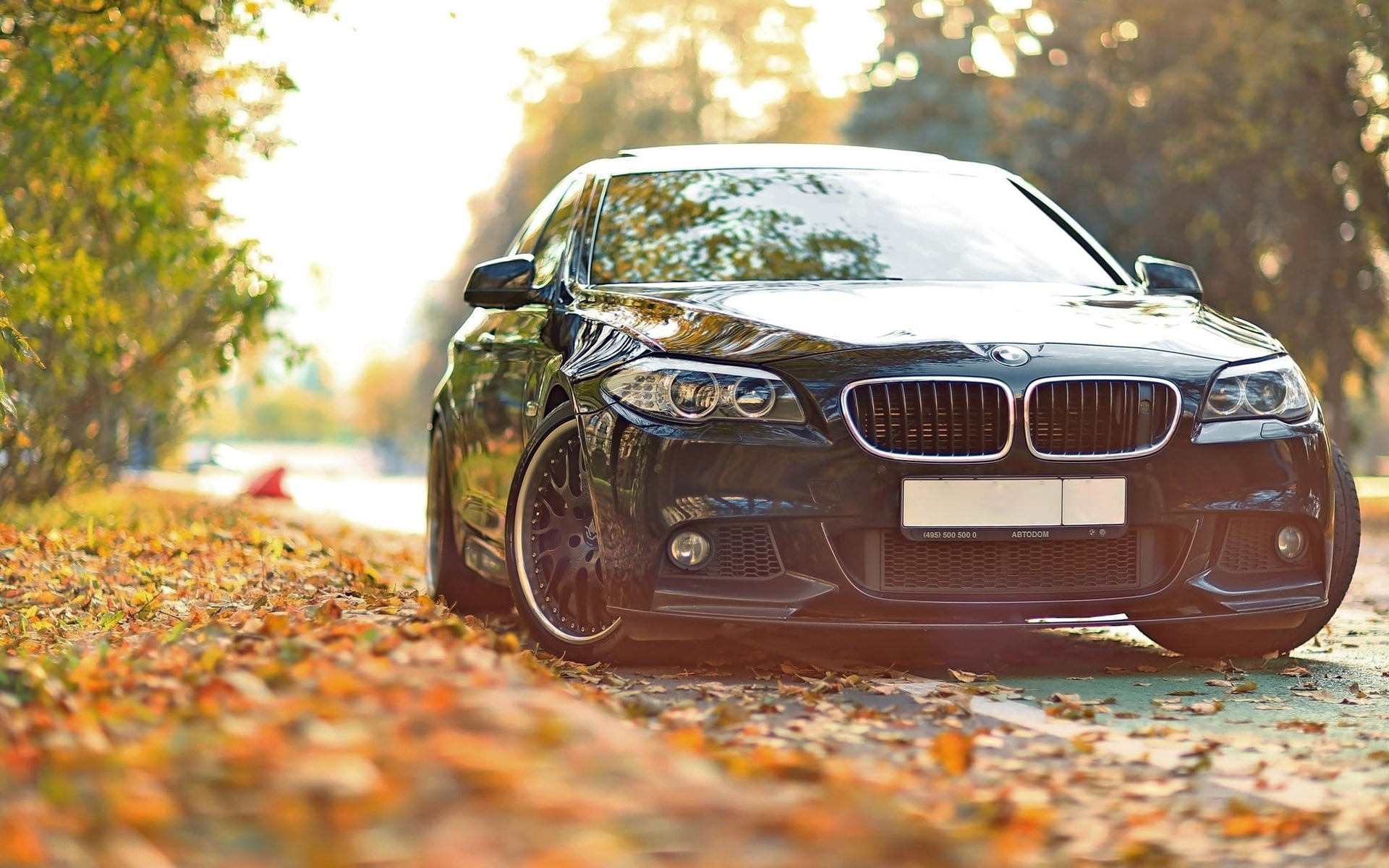 BMW 550 F10 black car in the autumn