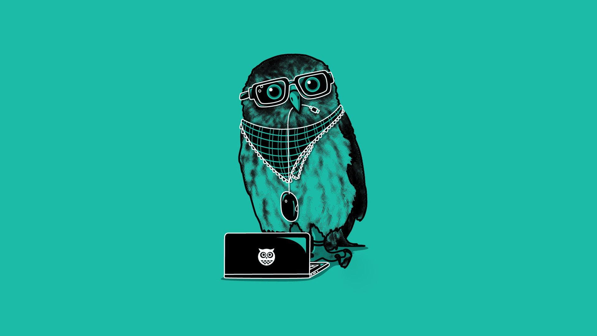 DJ owl, owl with jewelries and laptop illustration, funny, 1920x1080