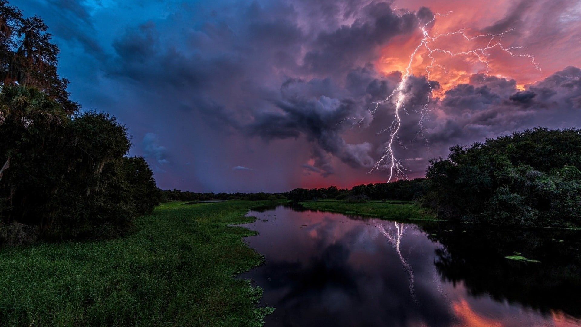 reflection, grass, forest, Florida, storm, clouds, trees, USA