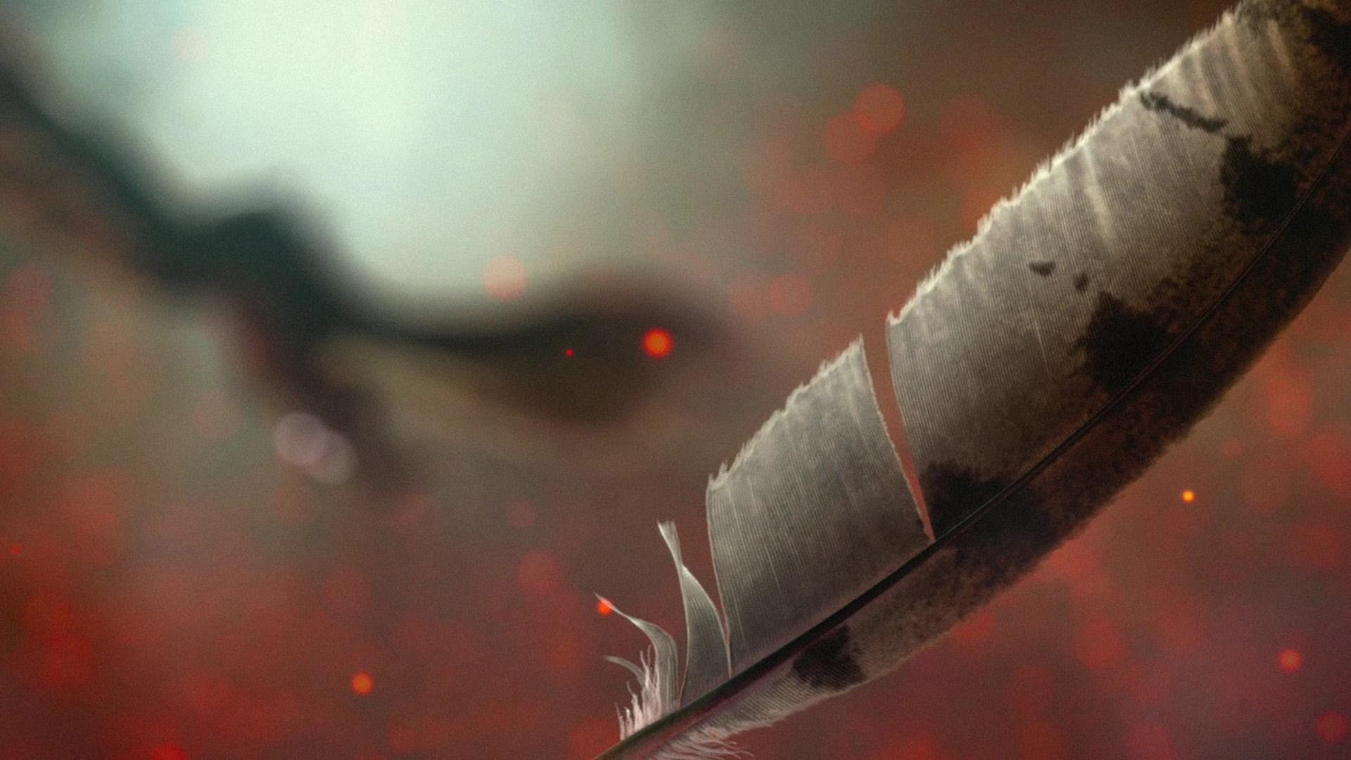 feathers