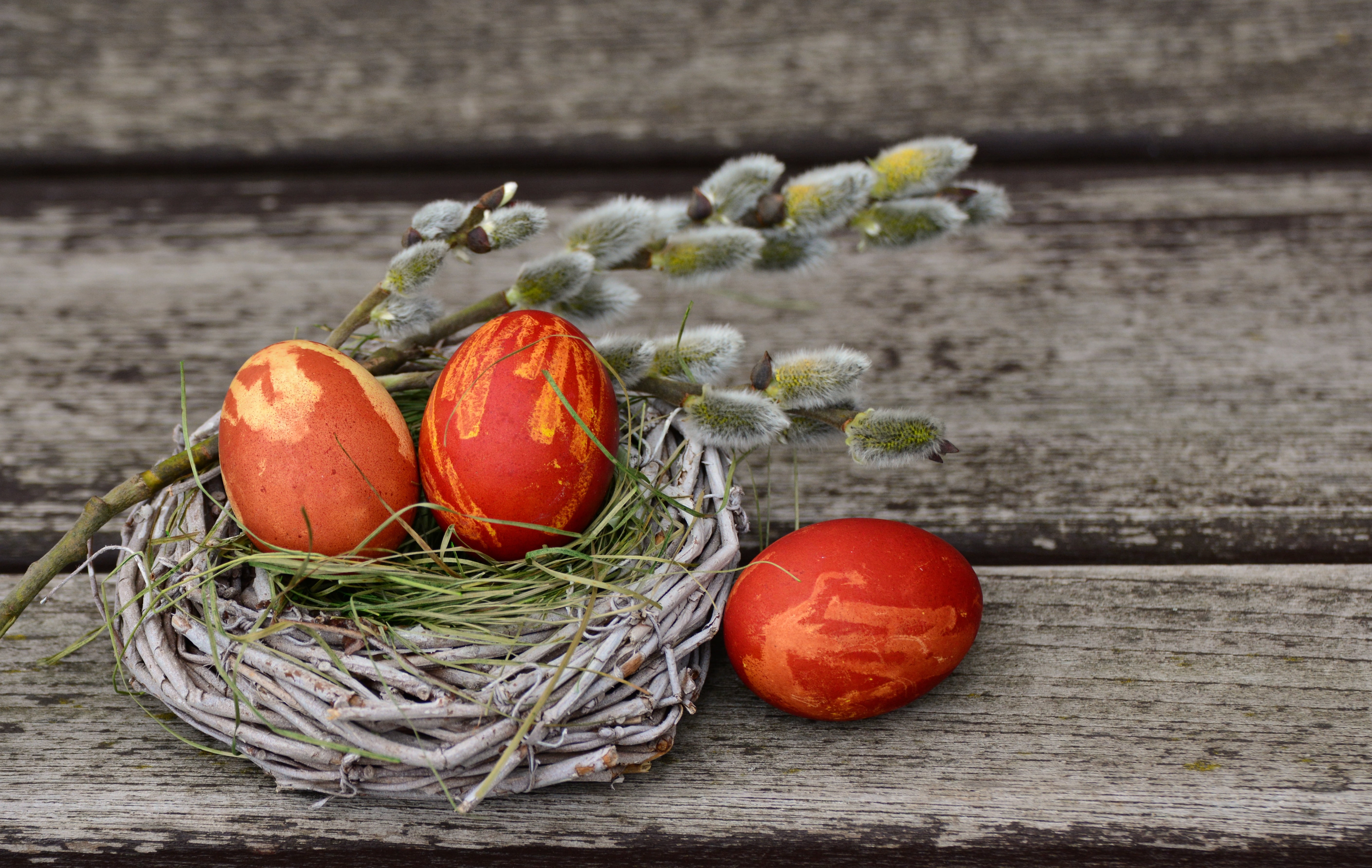 three brown eggs, easter, willow, decorating, wood - Material
