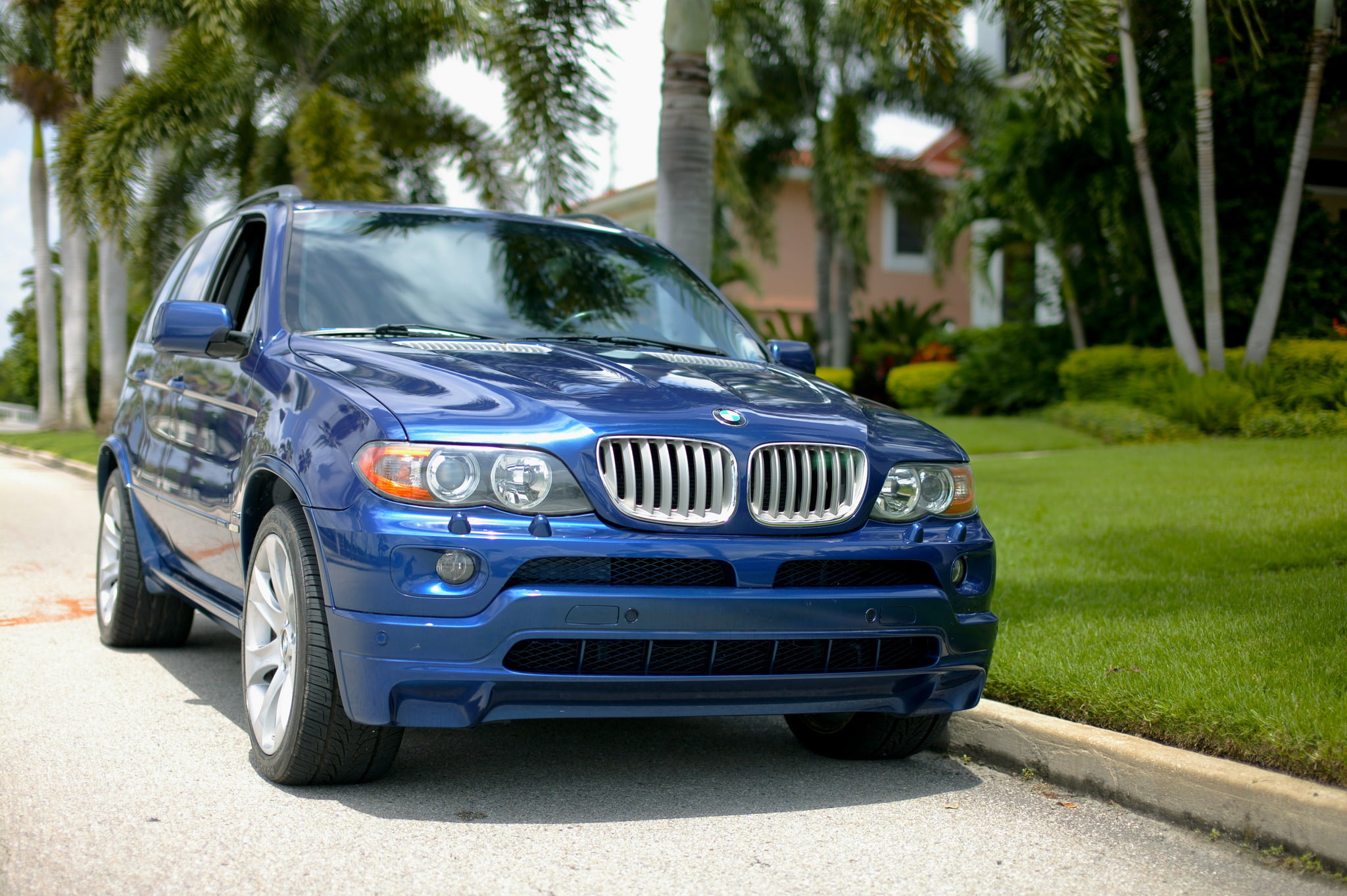 blue BMW SUV, E53 X5, beamer, bmw x5, BMW X5 E53 4.8is, car, land Vehicle