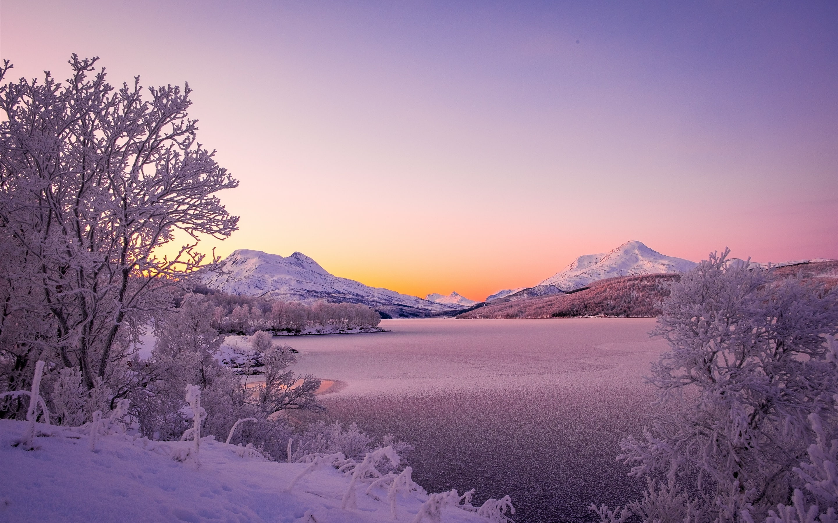 Norway, Scandinavian Mountains, lake, winter, thick snow, trees