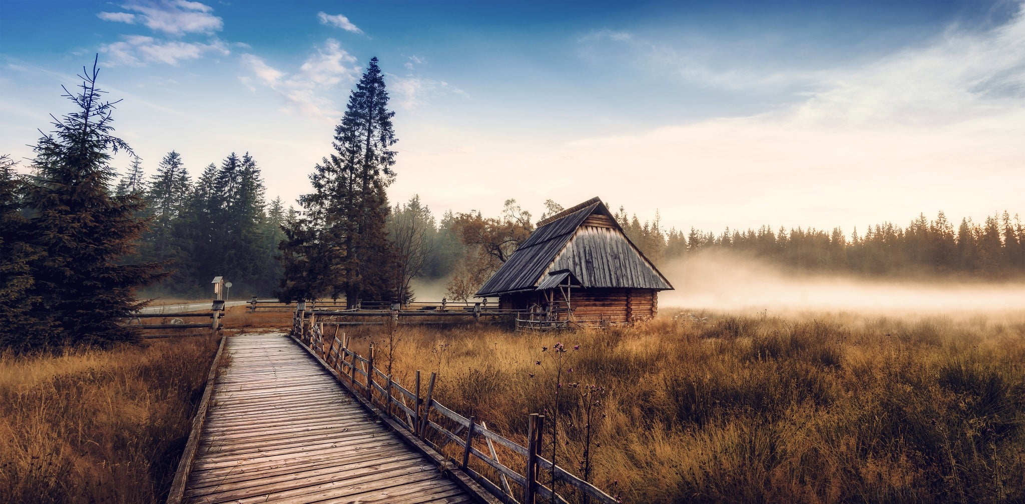 house near trees, nature, landscape, cabin, mist, fall, forest
