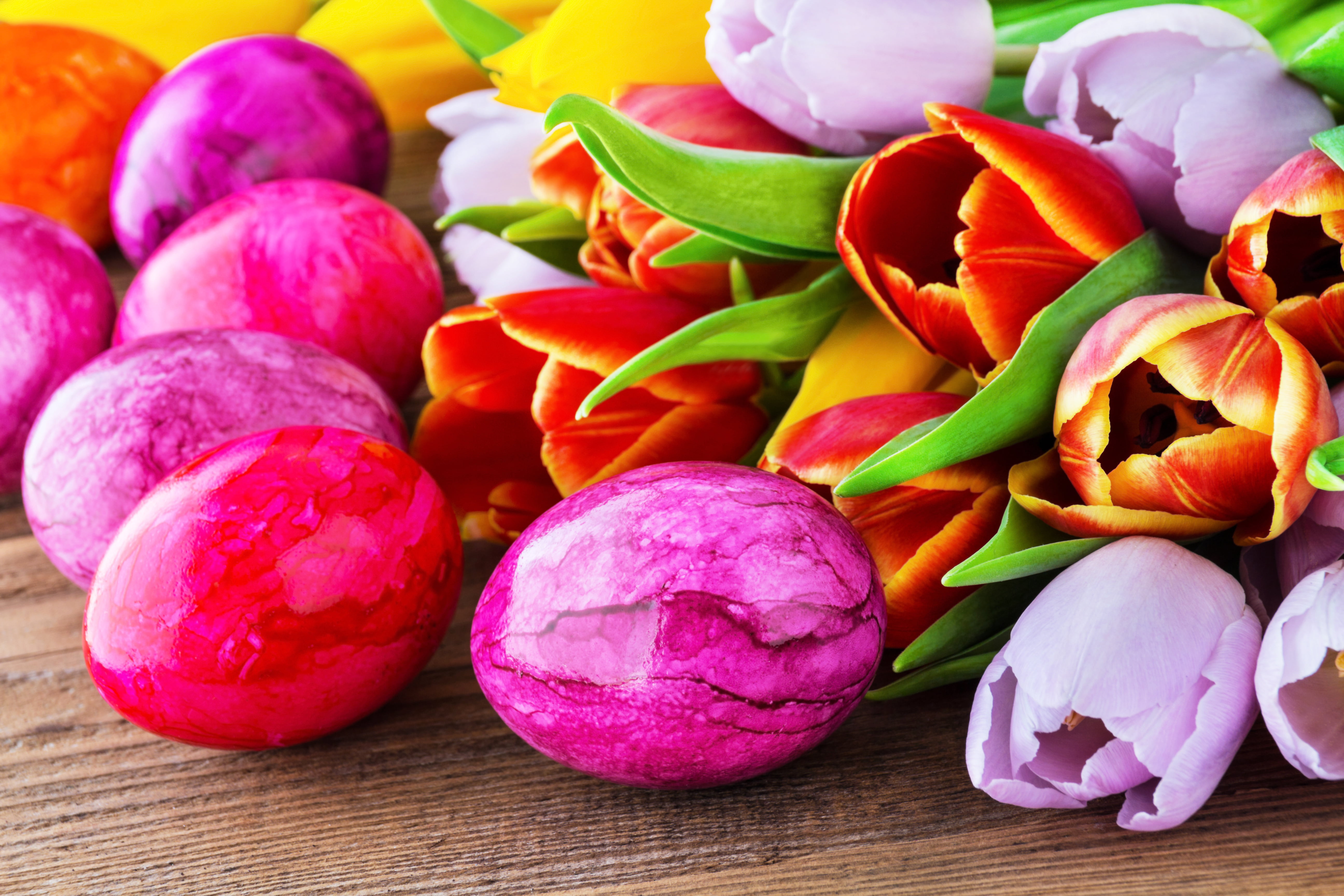 red and pink flowers, eggs, Easter, Easter eggs, happy easter
