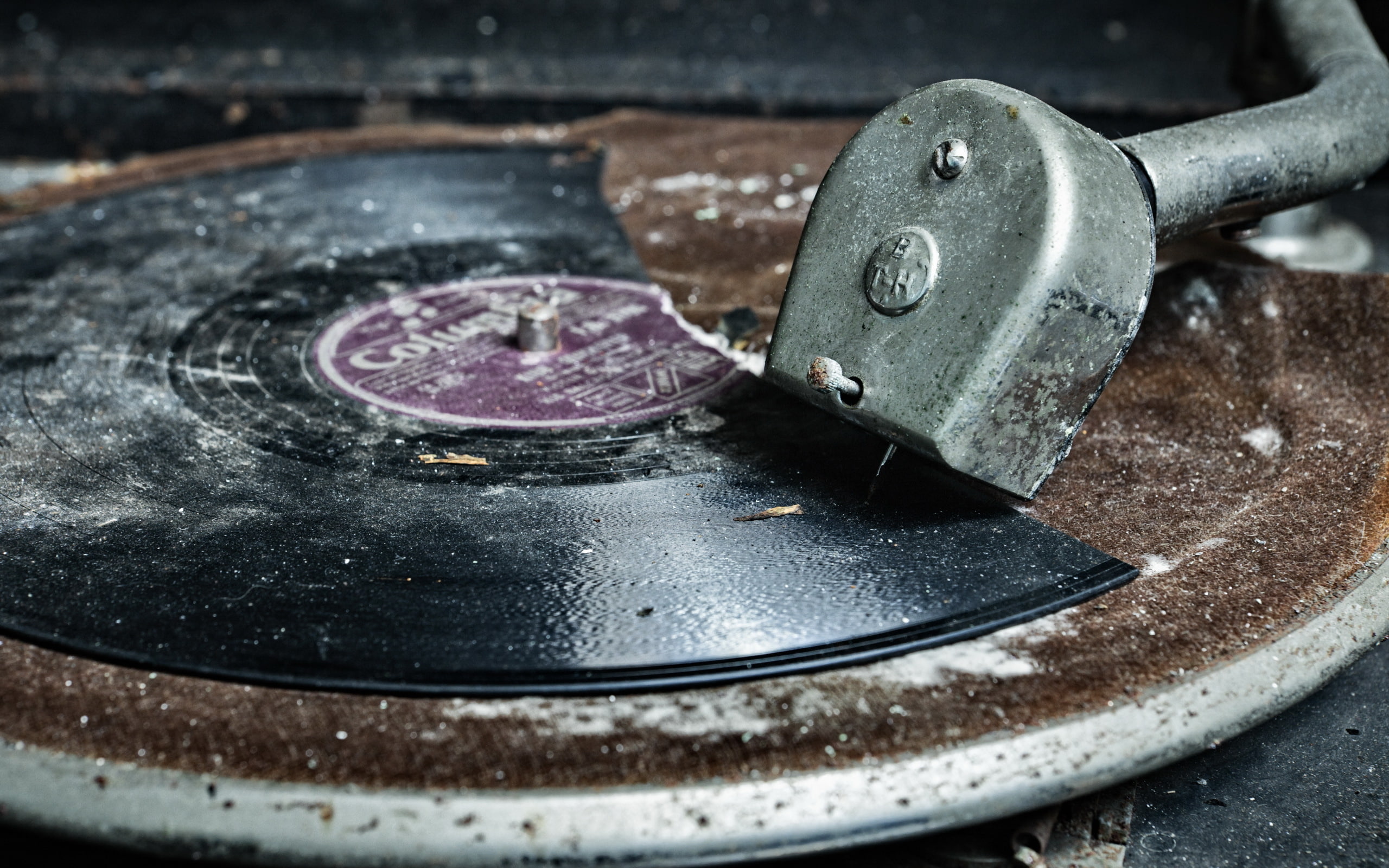 macro, record, gramophone