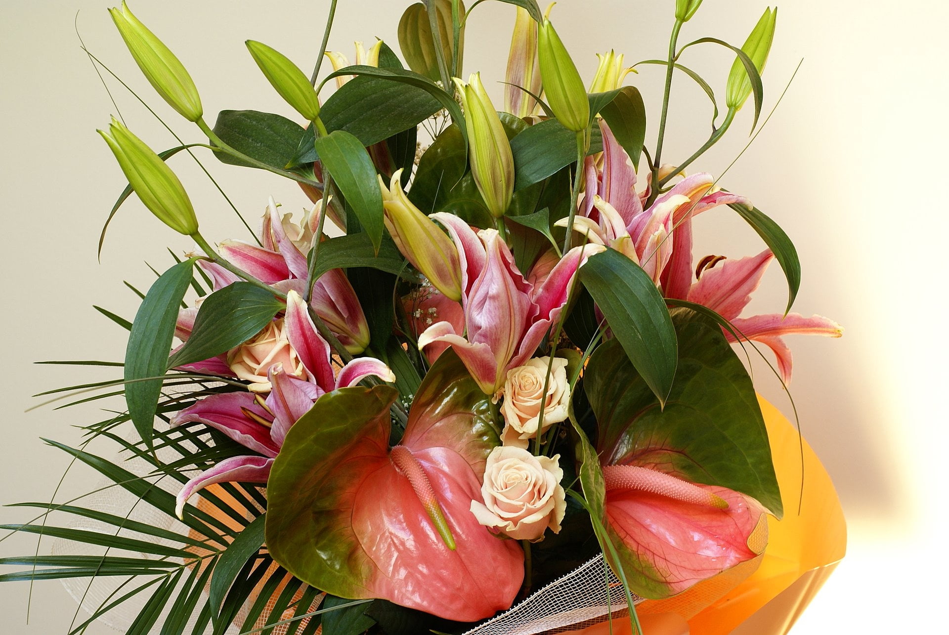 Anthurium and Calla lily flowers, roses, lilies, leaf, design