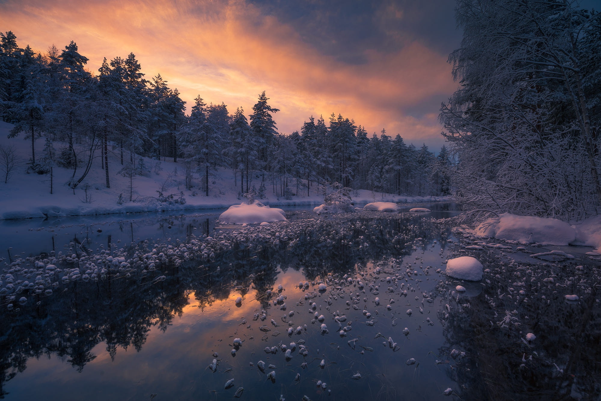Free download | HD wallpaper: winter, forest, river, Norway, Ringerike ...