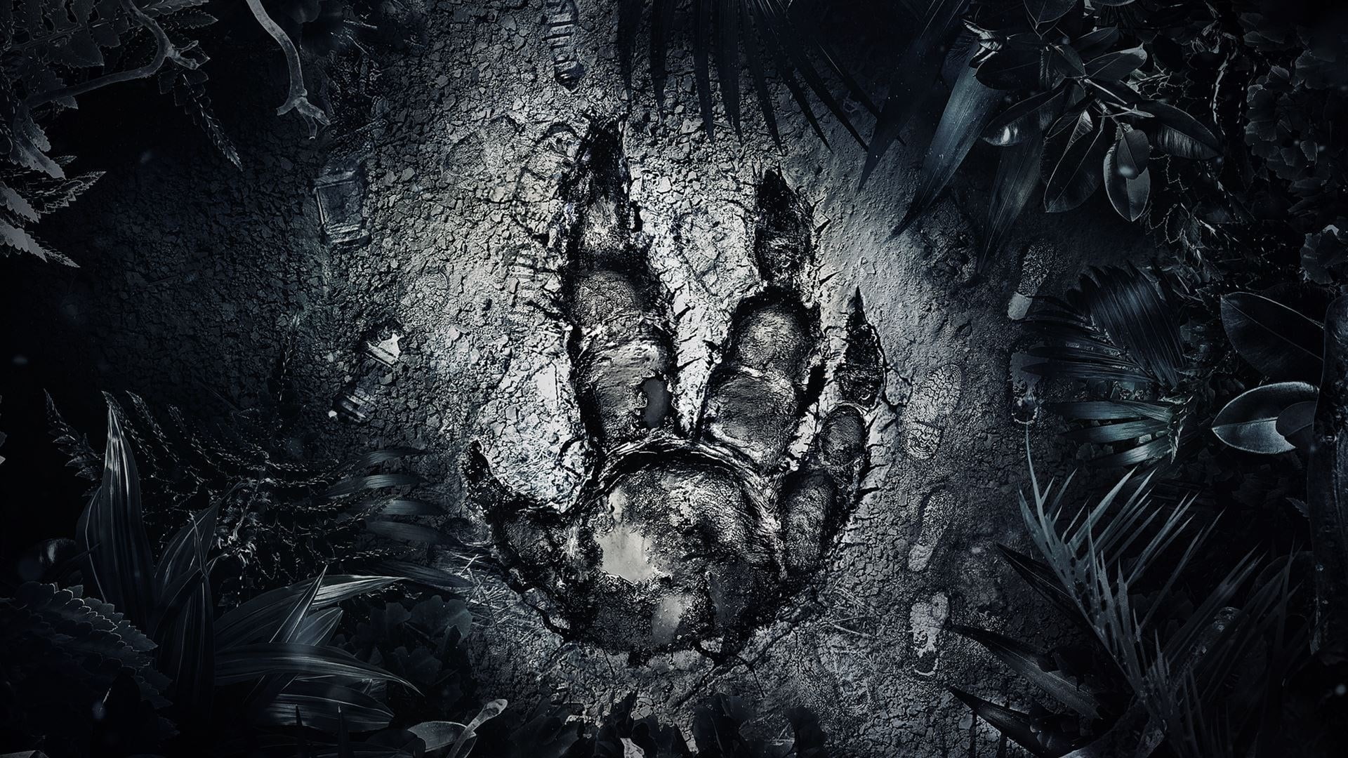 evolve background desktop