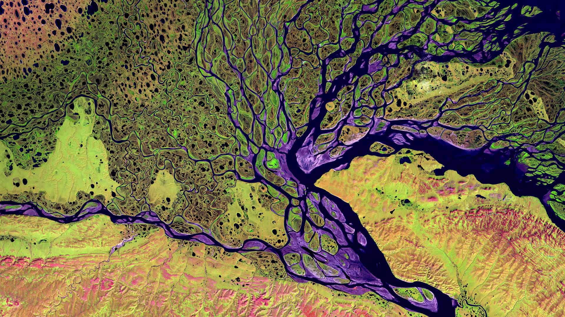 Siberia, Lena (River), aerial view
