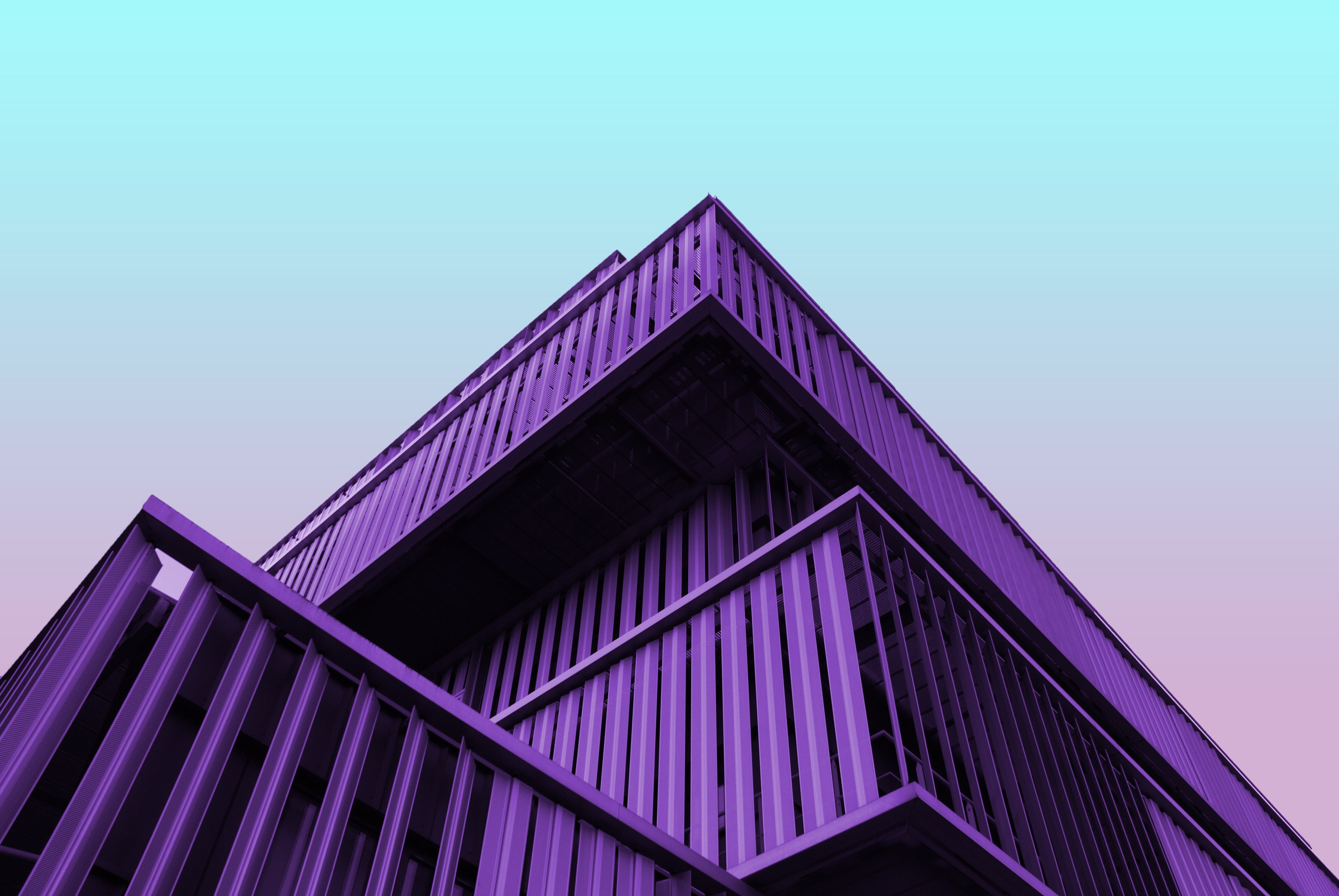Buildings, Purple