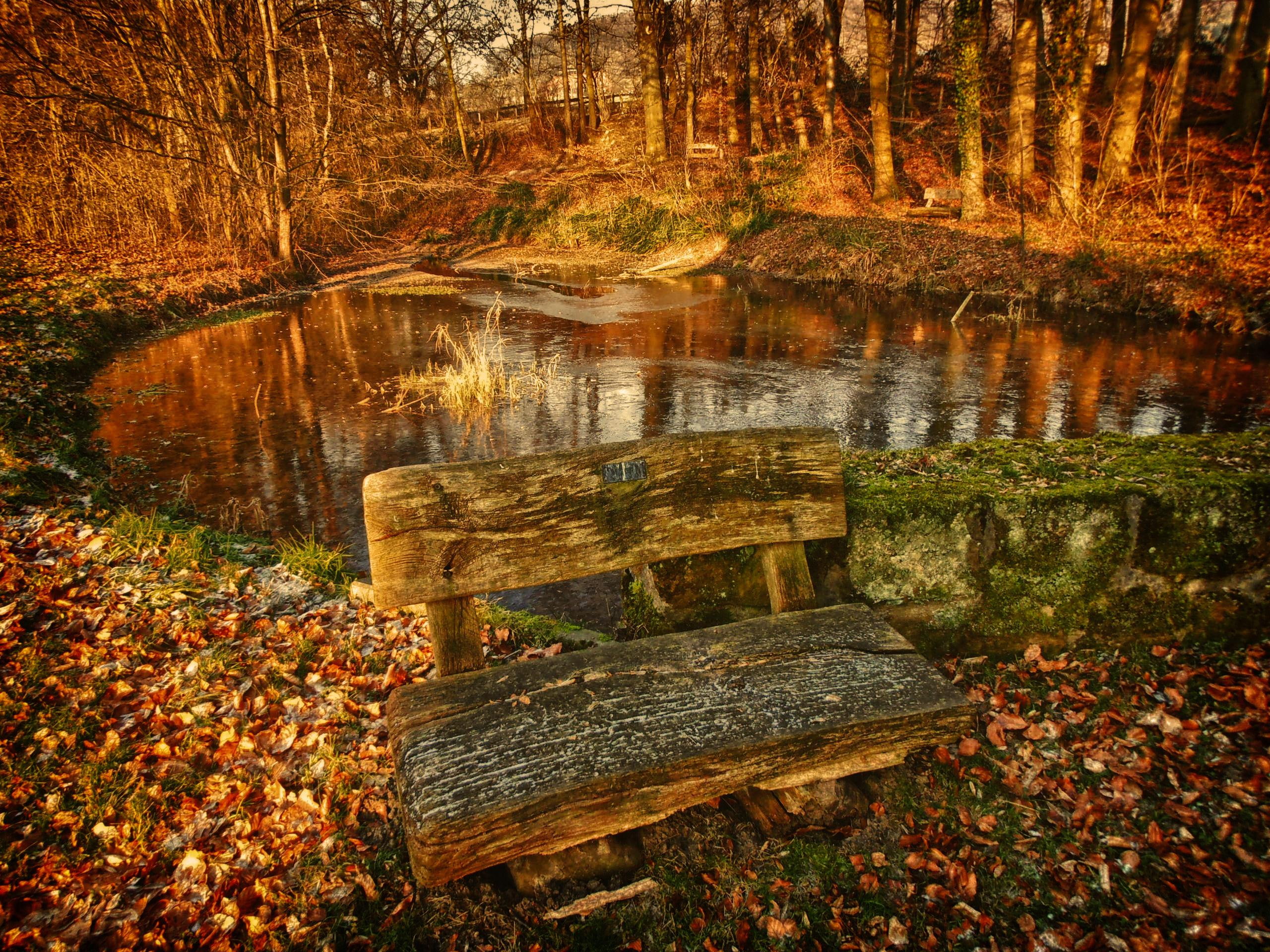 A Nice Place To Rest, nature, bench, autumn, 3d and abstract